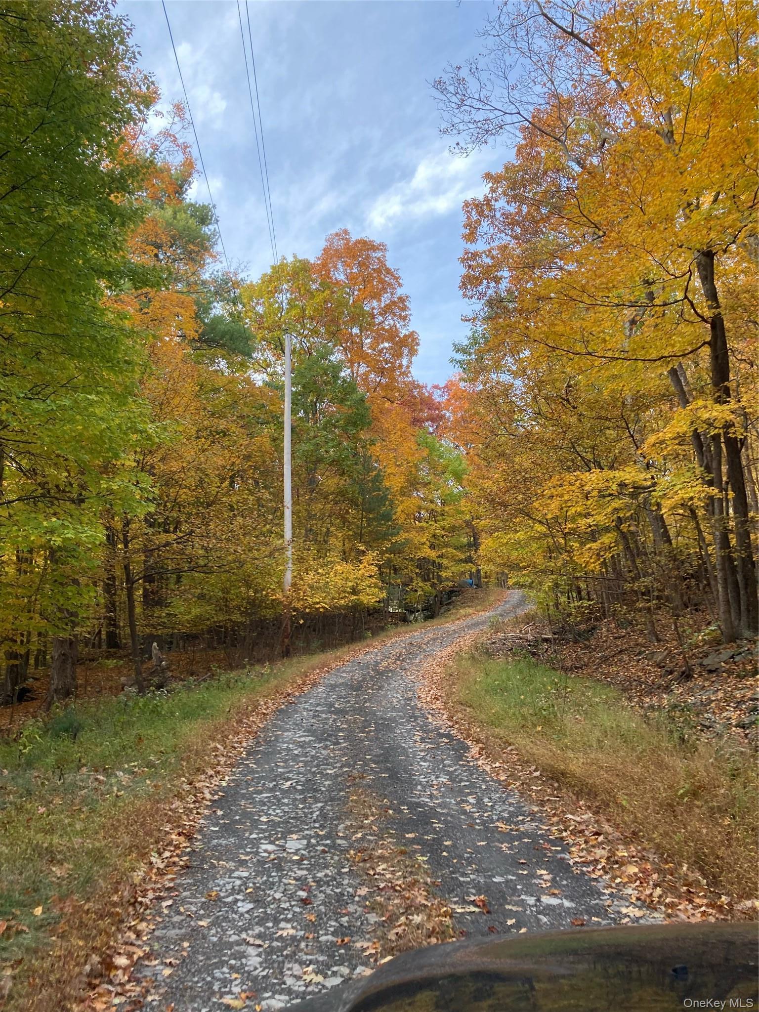 Single Family Manorville Road  Ulster County, NY 12477, MLS-1043702-41