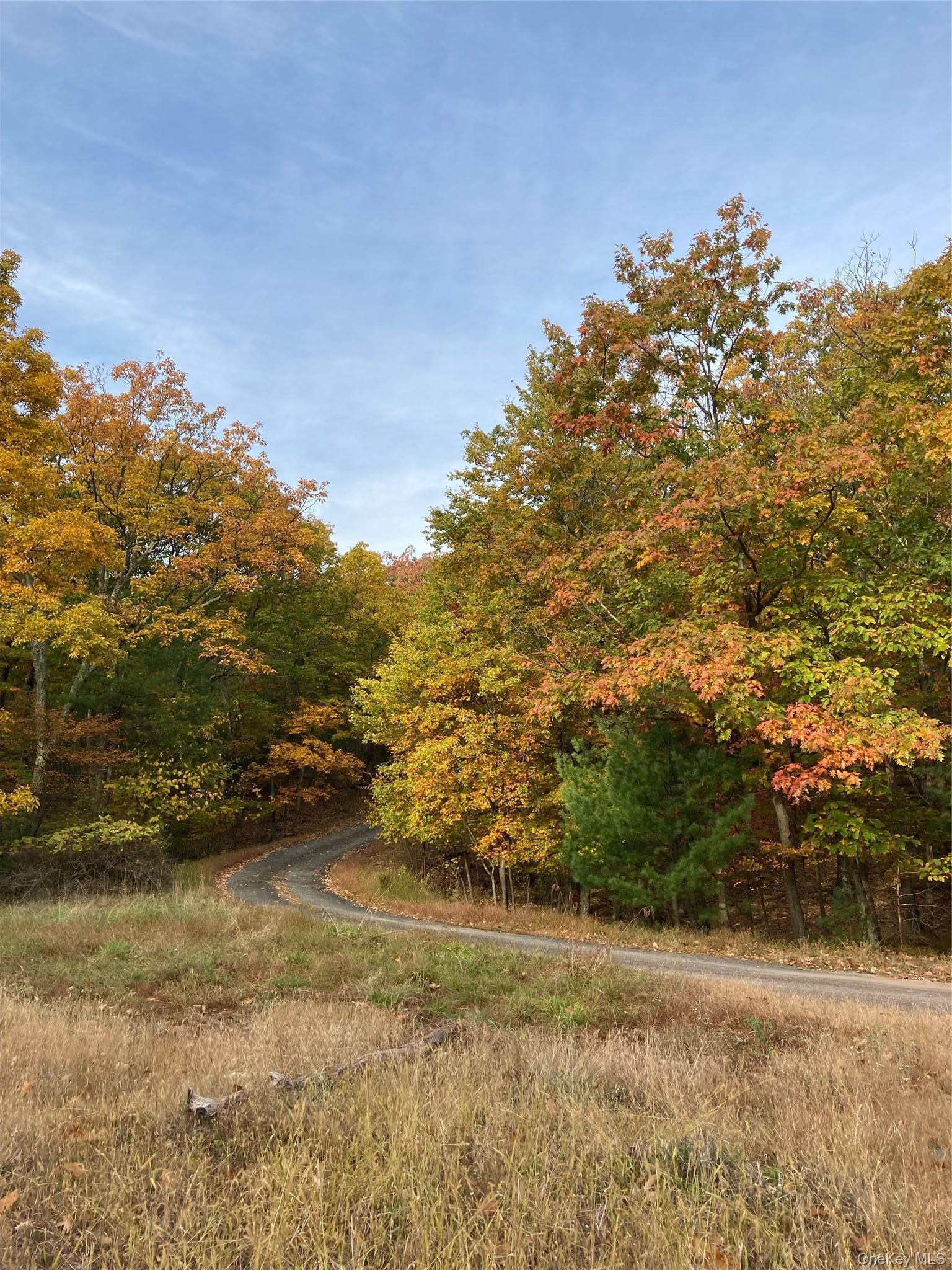 Single Family Manorville Road  Ulster County, NY 12477, MLS-1043702-42
