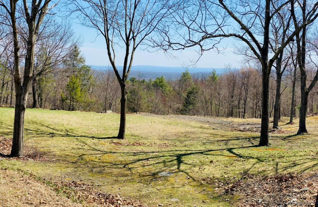 Single Family Manorville Road  Ulster County, NY 12477, MLS-1043702-43