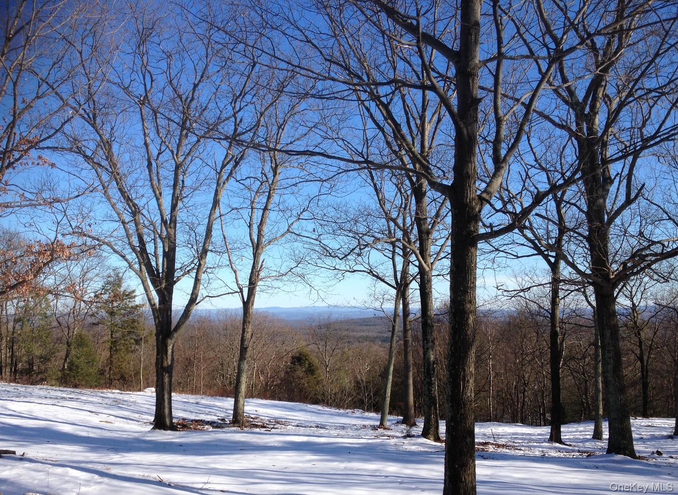 Single Family Manorville Road  Ulster County, NY 12477, MLS-1043702-44