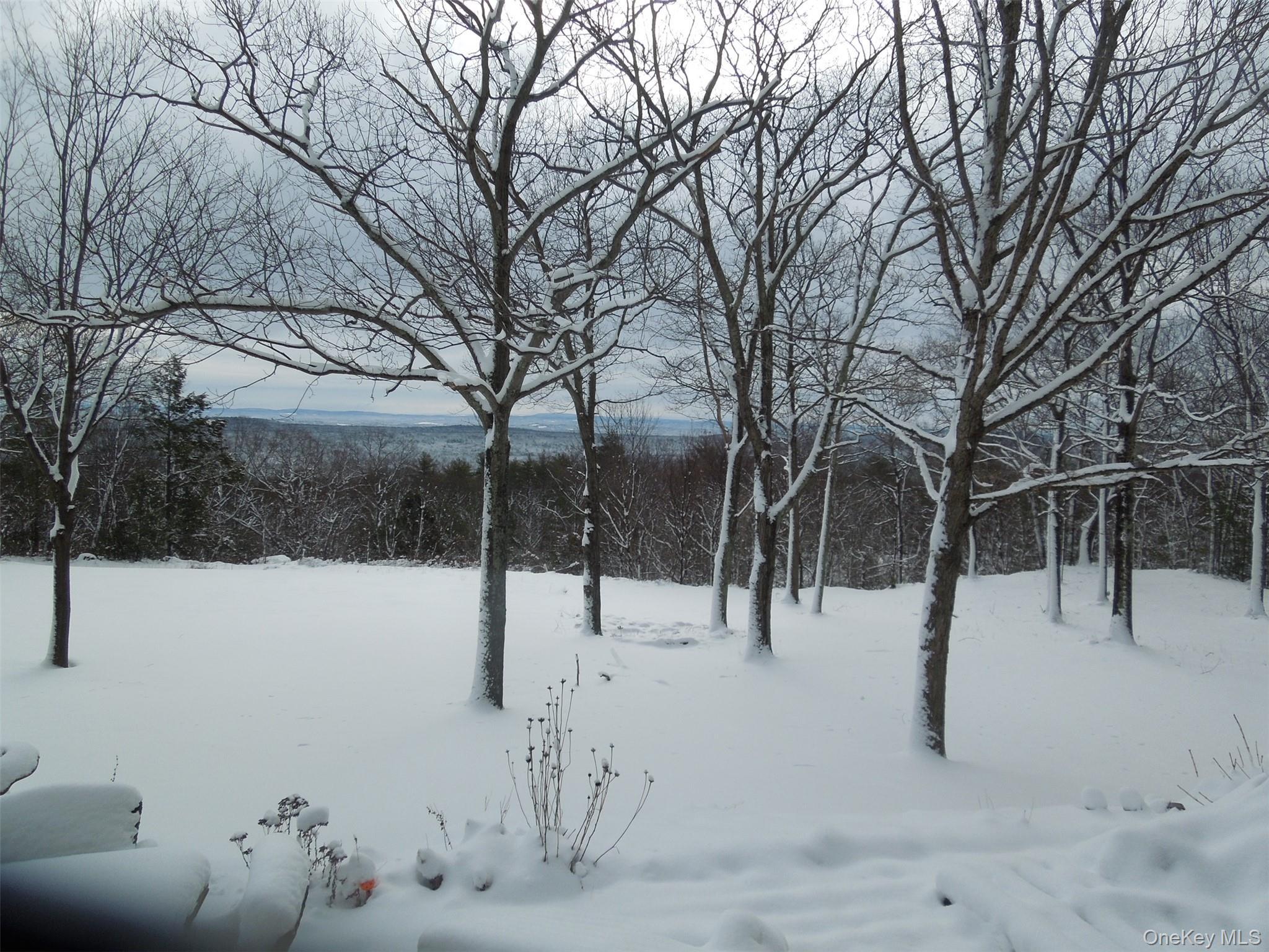 Single Family Manorville Road  Ulster County, NY 12477, MLS-1043702-45