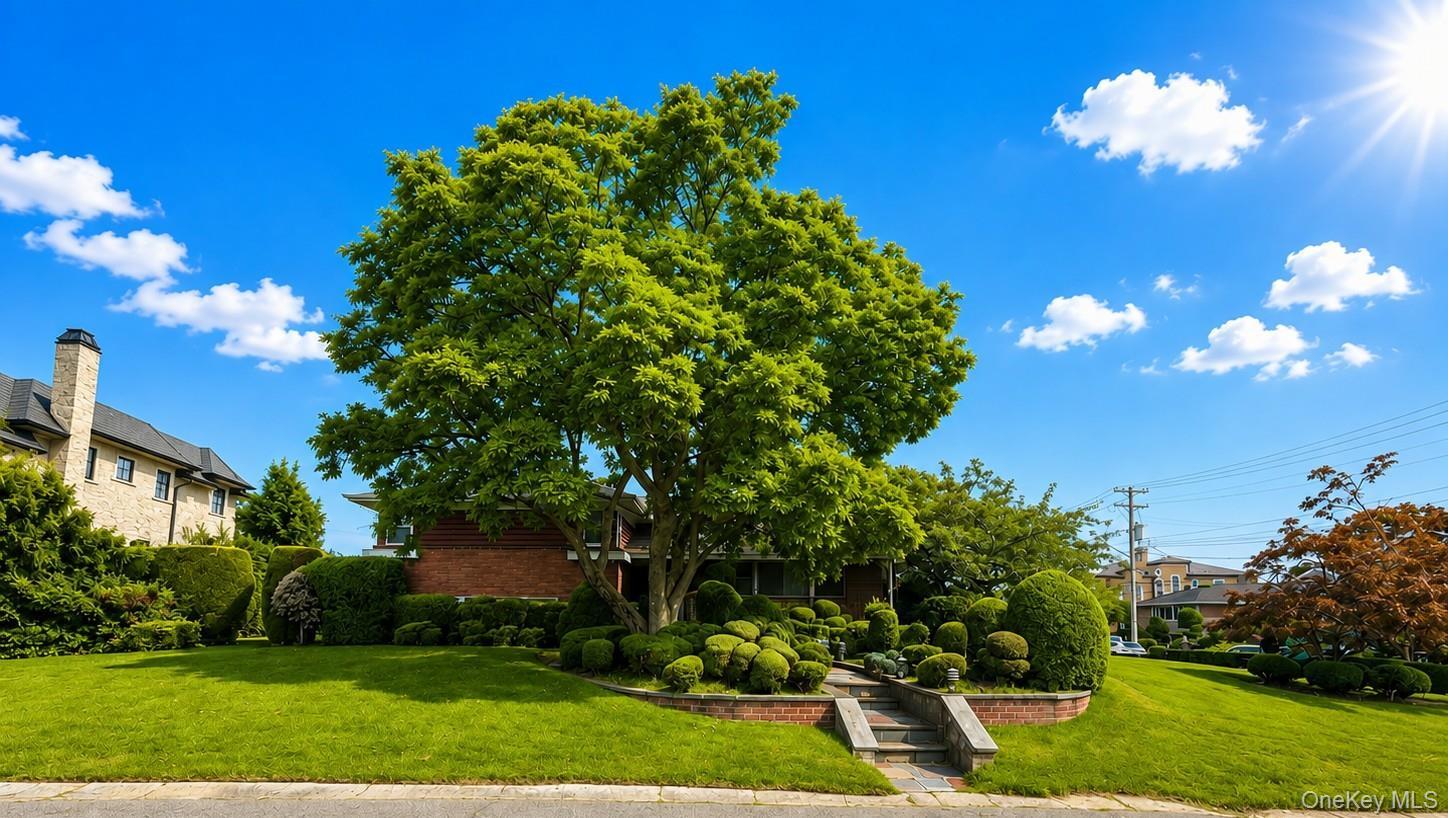 Single Family 216th Street Queens, NY 11360, MLS-1043846-27