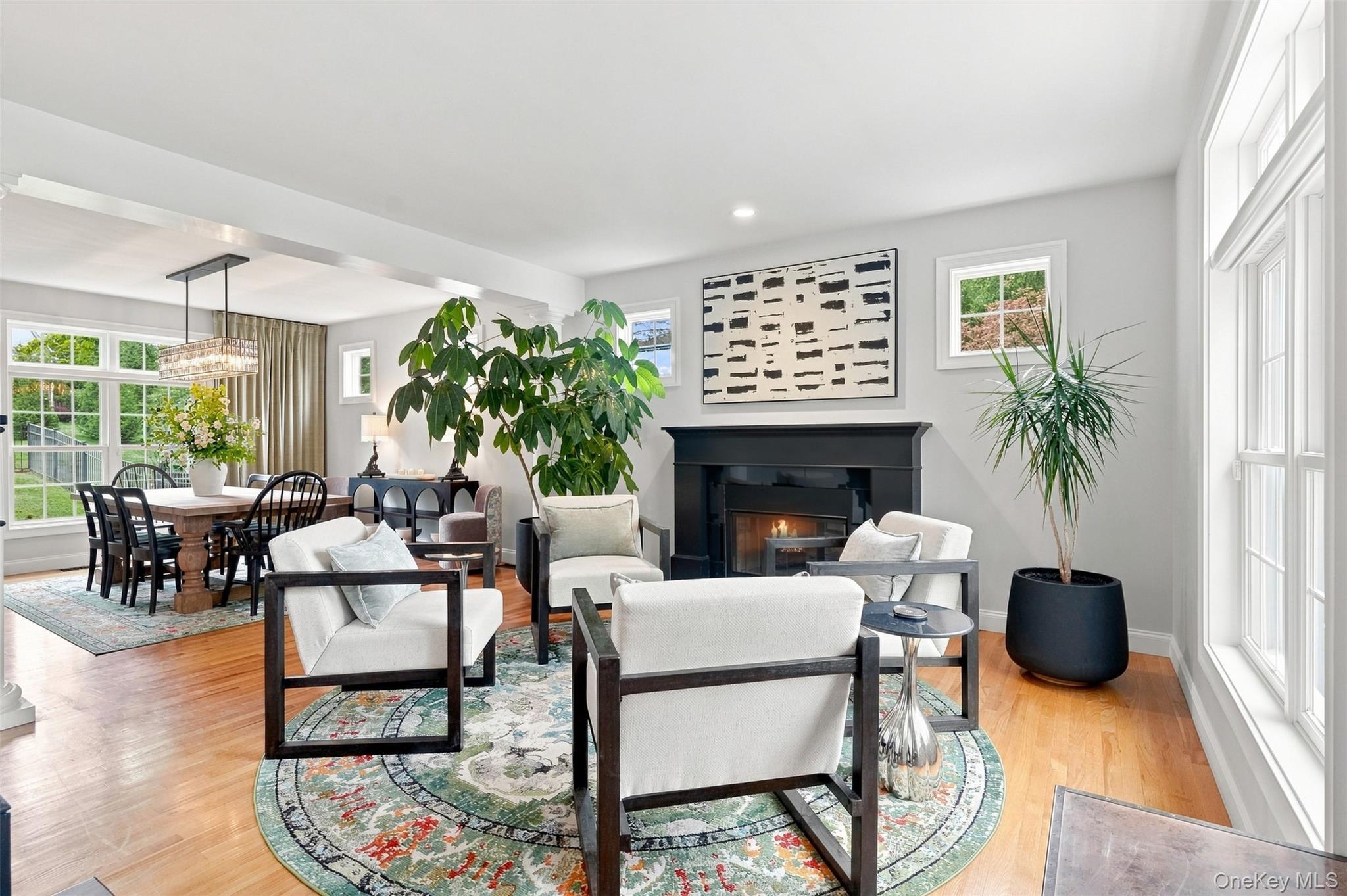 Single Family Country Club Road  Dutchess County, NY 12533, MLS-1043882-8
