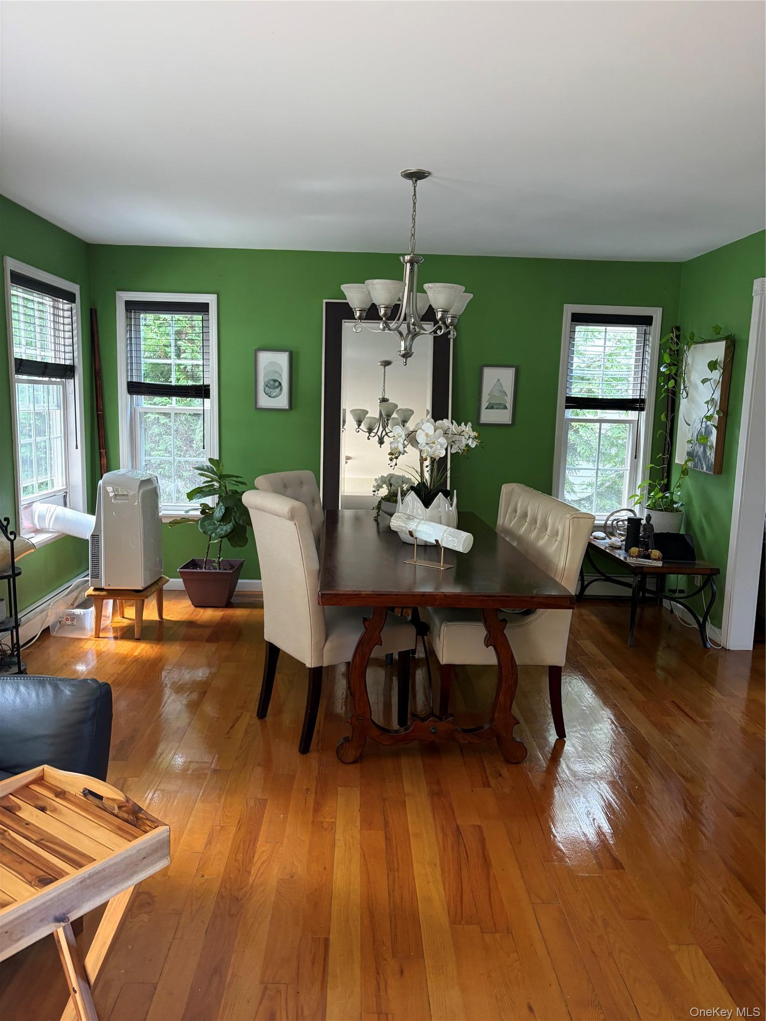 Single Family New Hyde Park  Nassau County, NY 11040, MLS-1043909-12