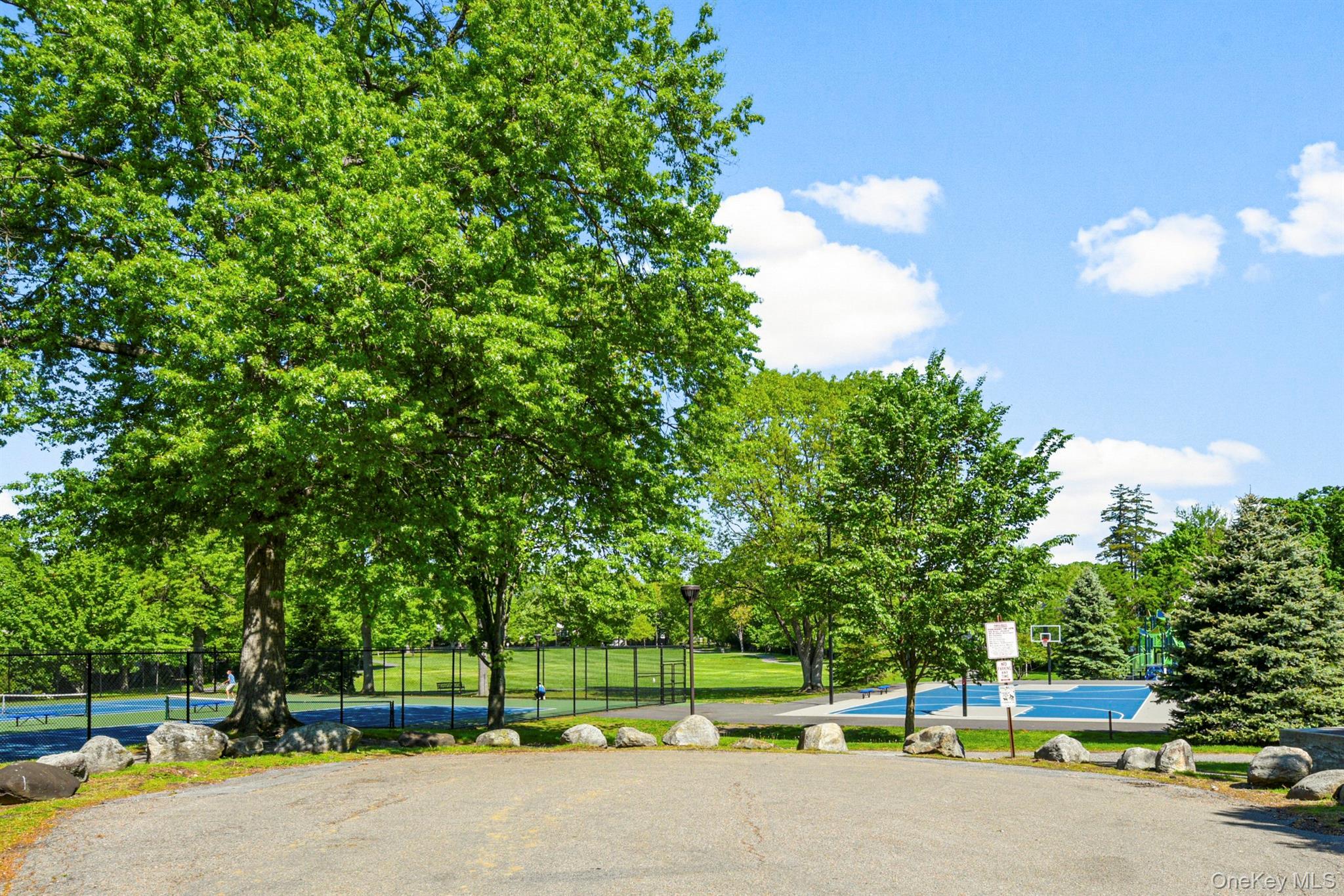 Single Family Carroll Avenue  Westchester County, NY 10543, MLS-1043935-28