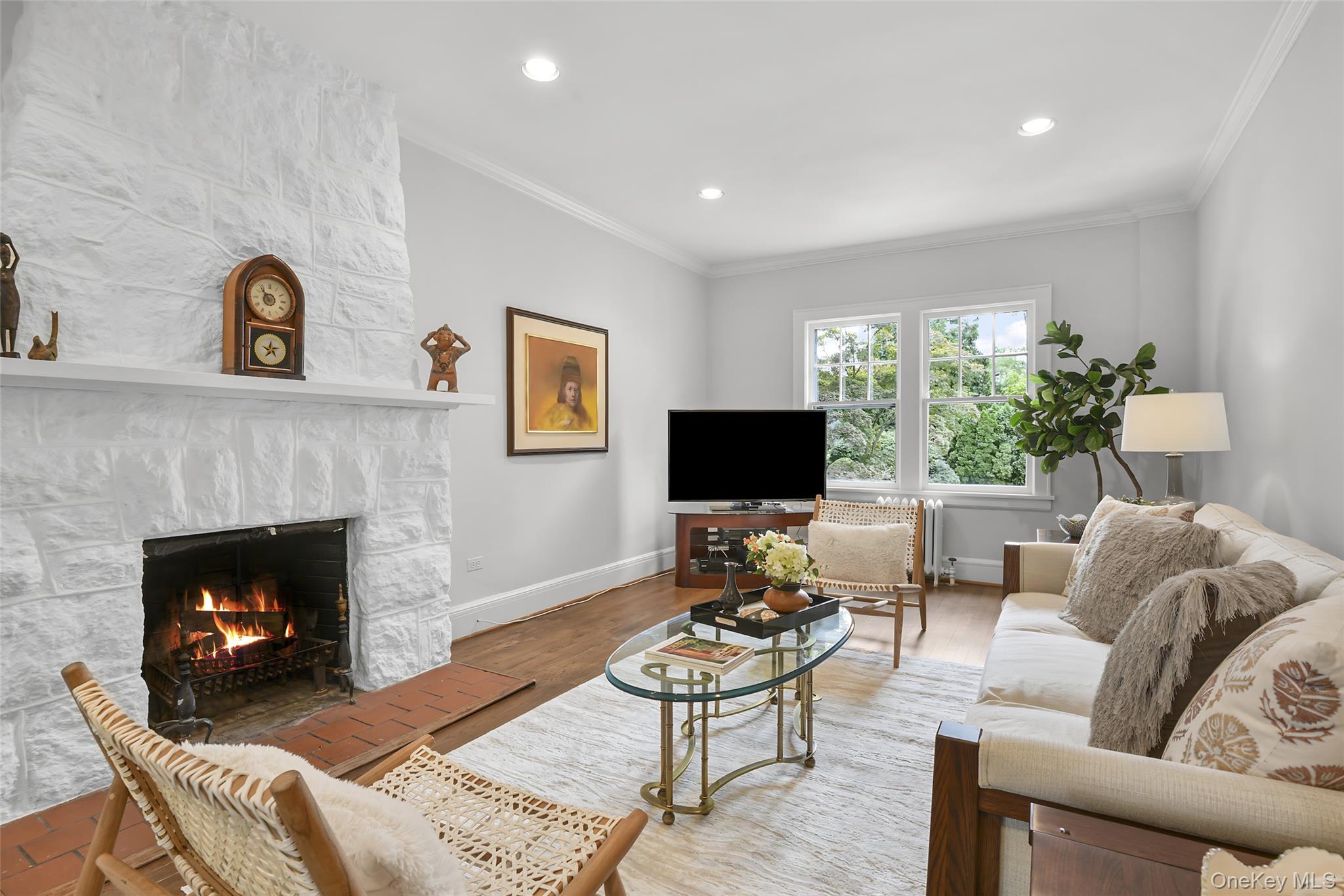 Single Family Carroll Avenue  Westchester County, NY 10543, MLS-1043935-5