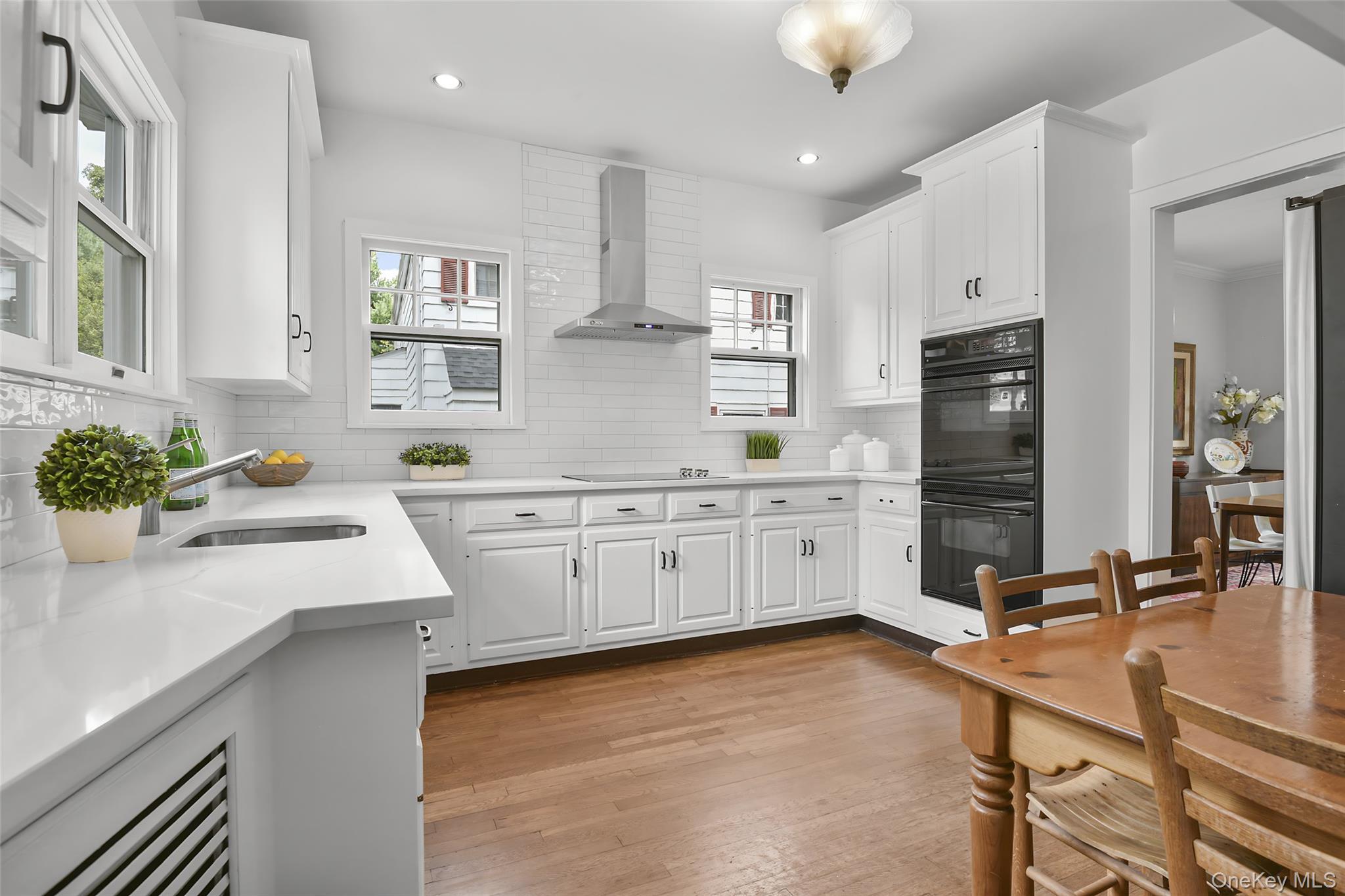 Single Family Carroll Avenue  Westchester County, NY 10543, MLS-1043935-9
