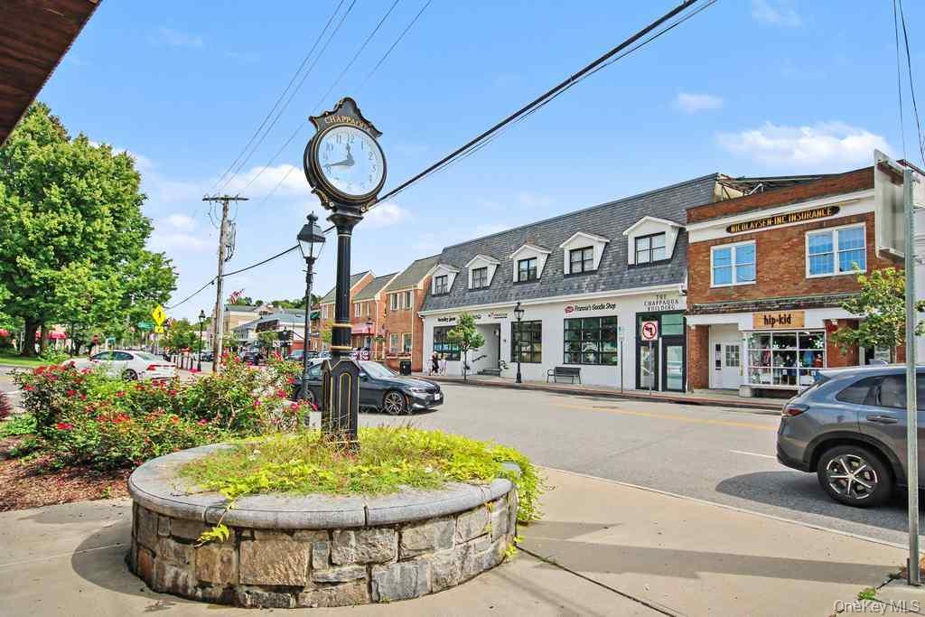 Single Family Mill River Road  Westchester County, NY 10514, MLS-1043982-27