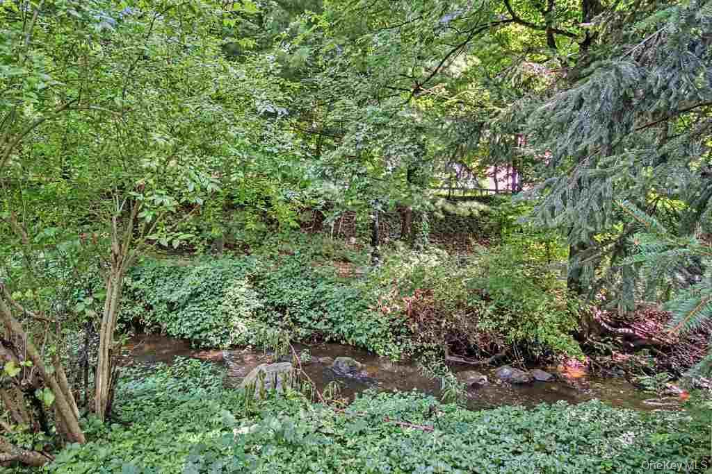 Single Family Mill River Road  Westchester County, NY 10514, MLS-1043982-30