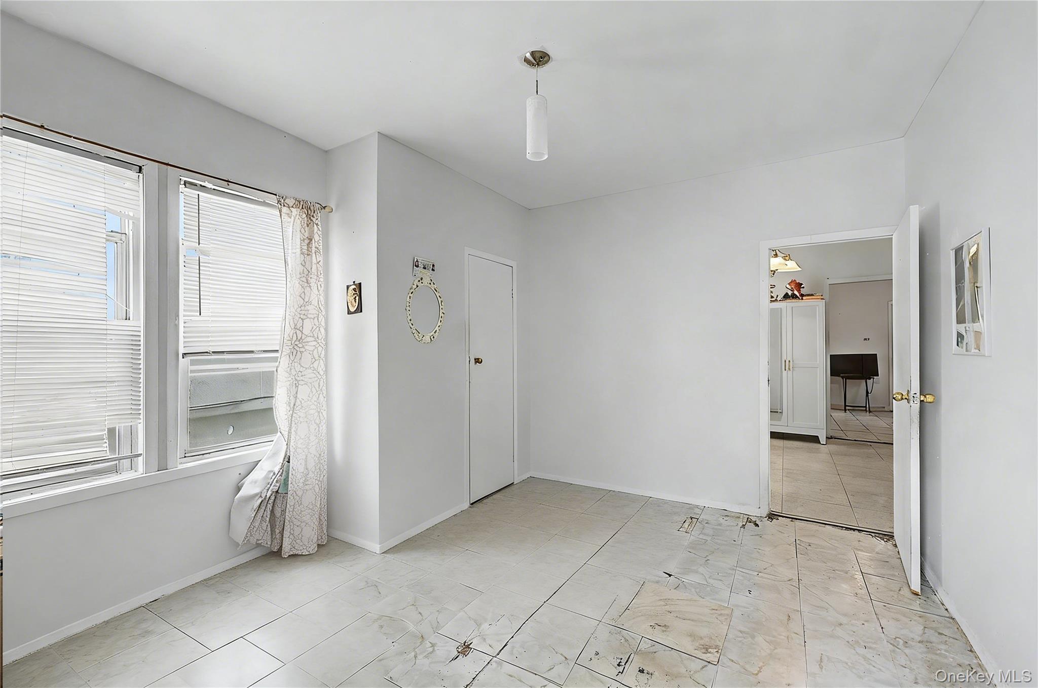Single Family 43rd Avenue Queens, NY 11368, MLS-1043992-8