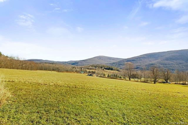 Single Family Hanley Road Delaware County, NY 12430, MLS-1044002-11