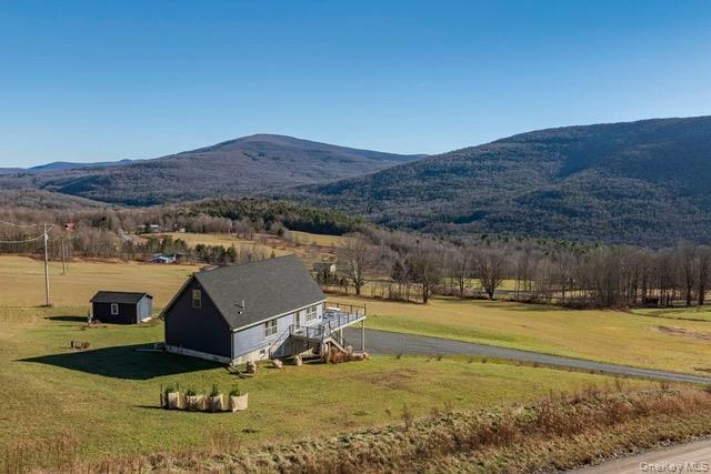 Single Family Hanley Road Delaware County, NY 12430, MLS-1044002-12