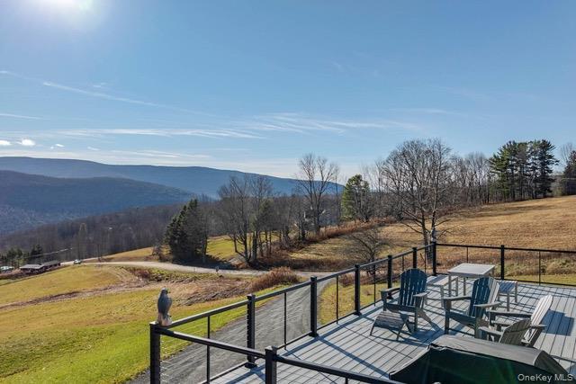 Single Family Hanley Road Delaware County, NY 12430, MLS-1044002-13
