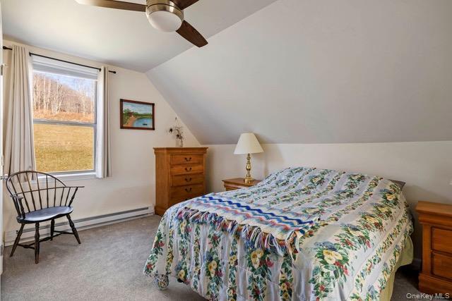 Single Family Hanley Road Delaware County, NY 12430, MLS-1044002-21