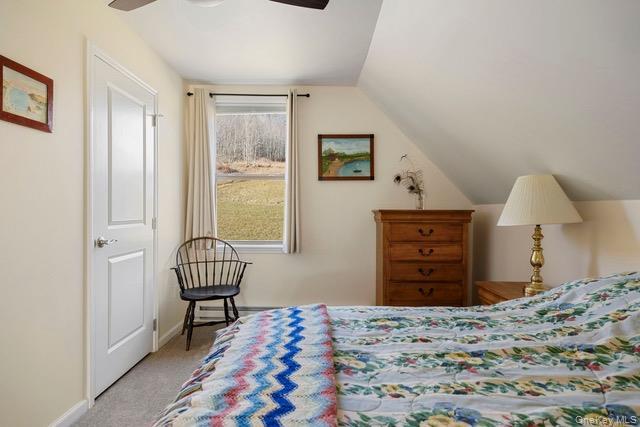 Single Family Hanley Road Delaware County, NY 12430, MLS-1044002-22