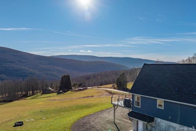 Single Family Hanley Road Delaware County, NY 12430, MLS-1044002-27