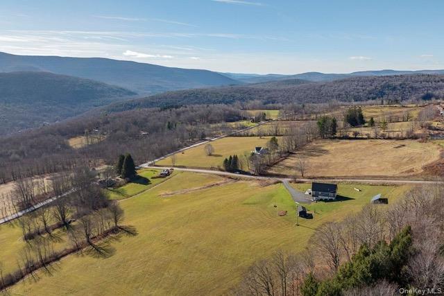 Single Family Hanley Road Delaware County, NY 12430, MLS-1044002-29