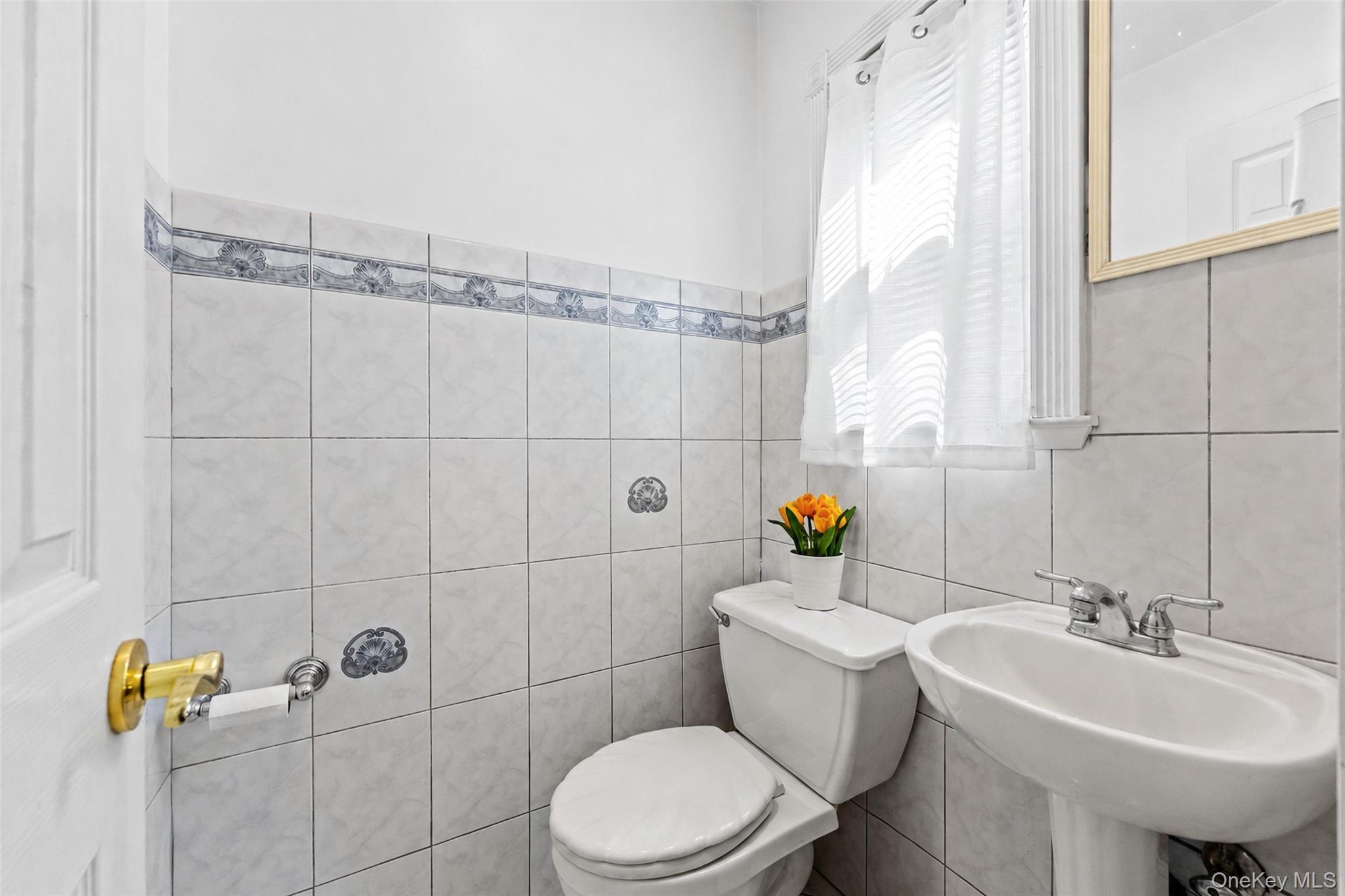 Single Family Rockaway Avenue  Nassau County, NY 11581, MLS-1044019-12