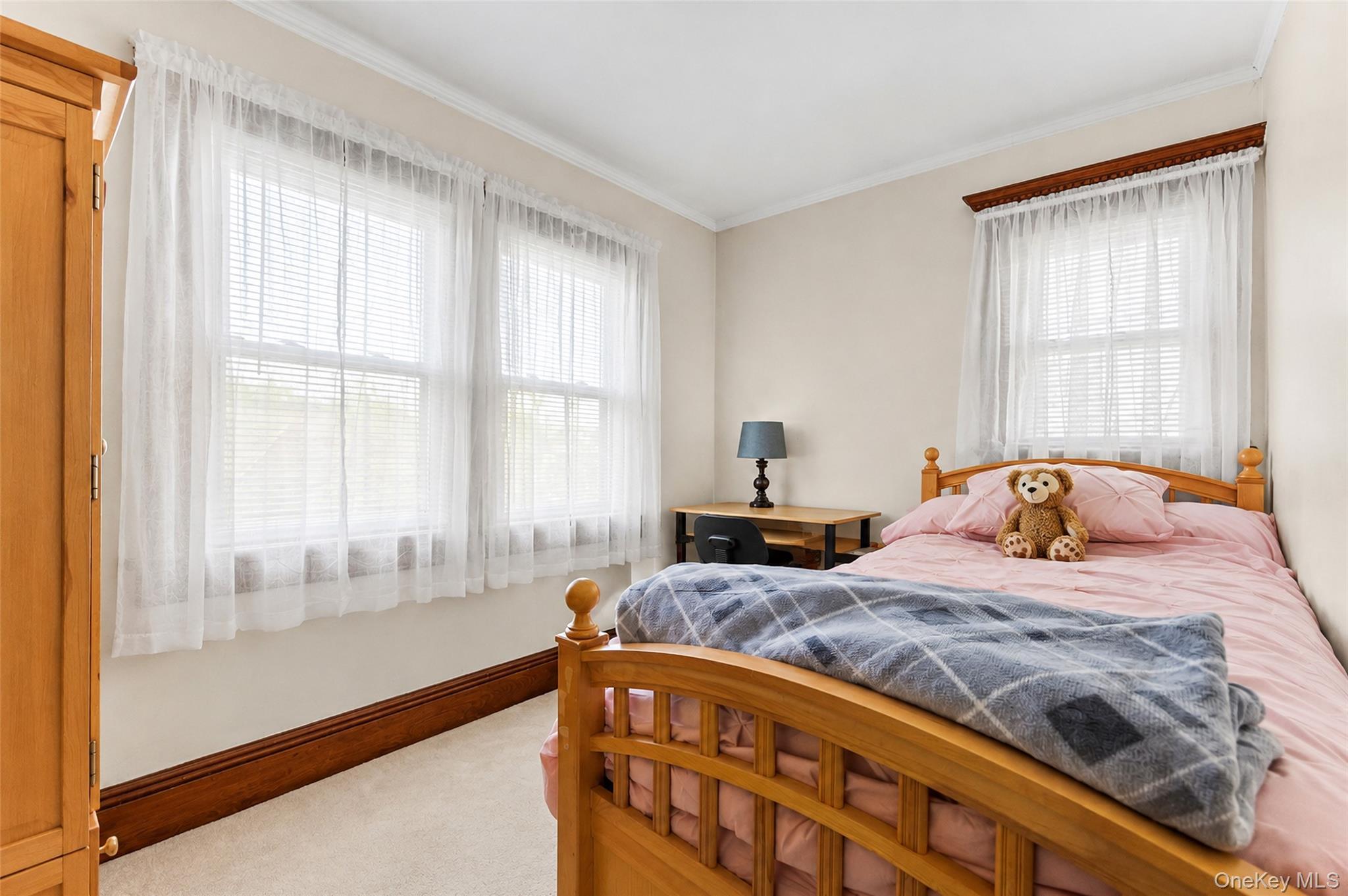 Single Family Rockaway Avenue  Nassau County, NY 11581, MLS-1044019-21