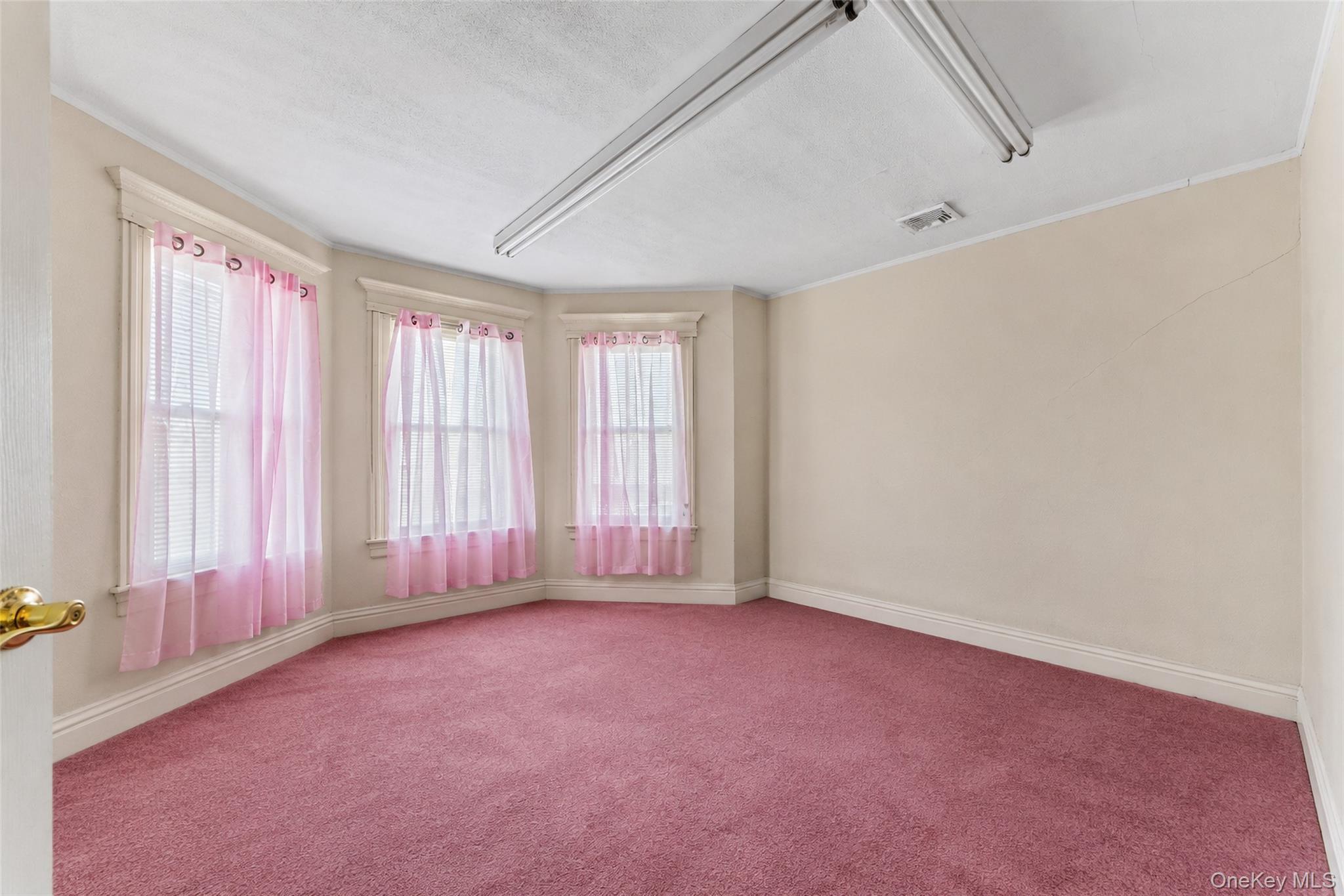 Single Family Rockaway Avenue  Nassau County, NY 11581, MLS-1044019-22