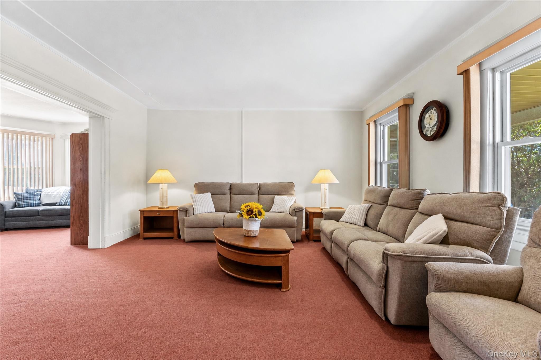 Single Family Rockaway Avenue  Nassau County, NY 11581, MLS-1044019-7