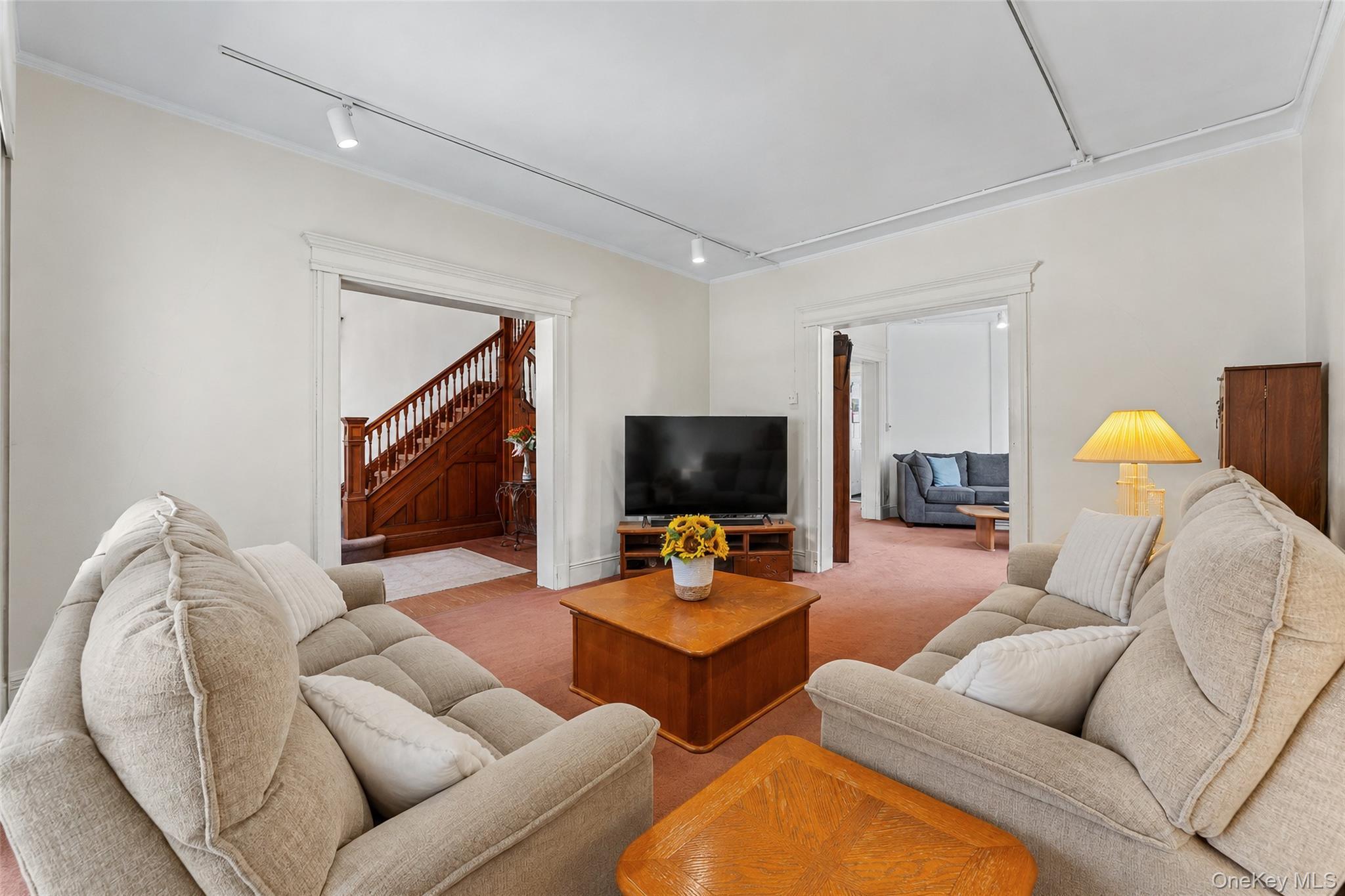 Single Family Rockaway Avenue  Nassau County, NY 11581, MLS-1044019-9