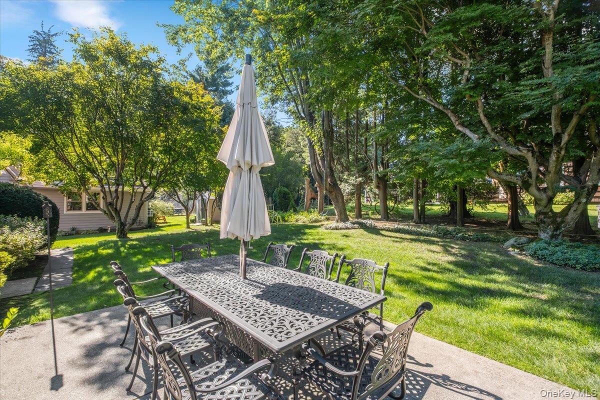 Single Family Dartmouth Terrace Westchester County, NY 10607, MLS-1044042-28