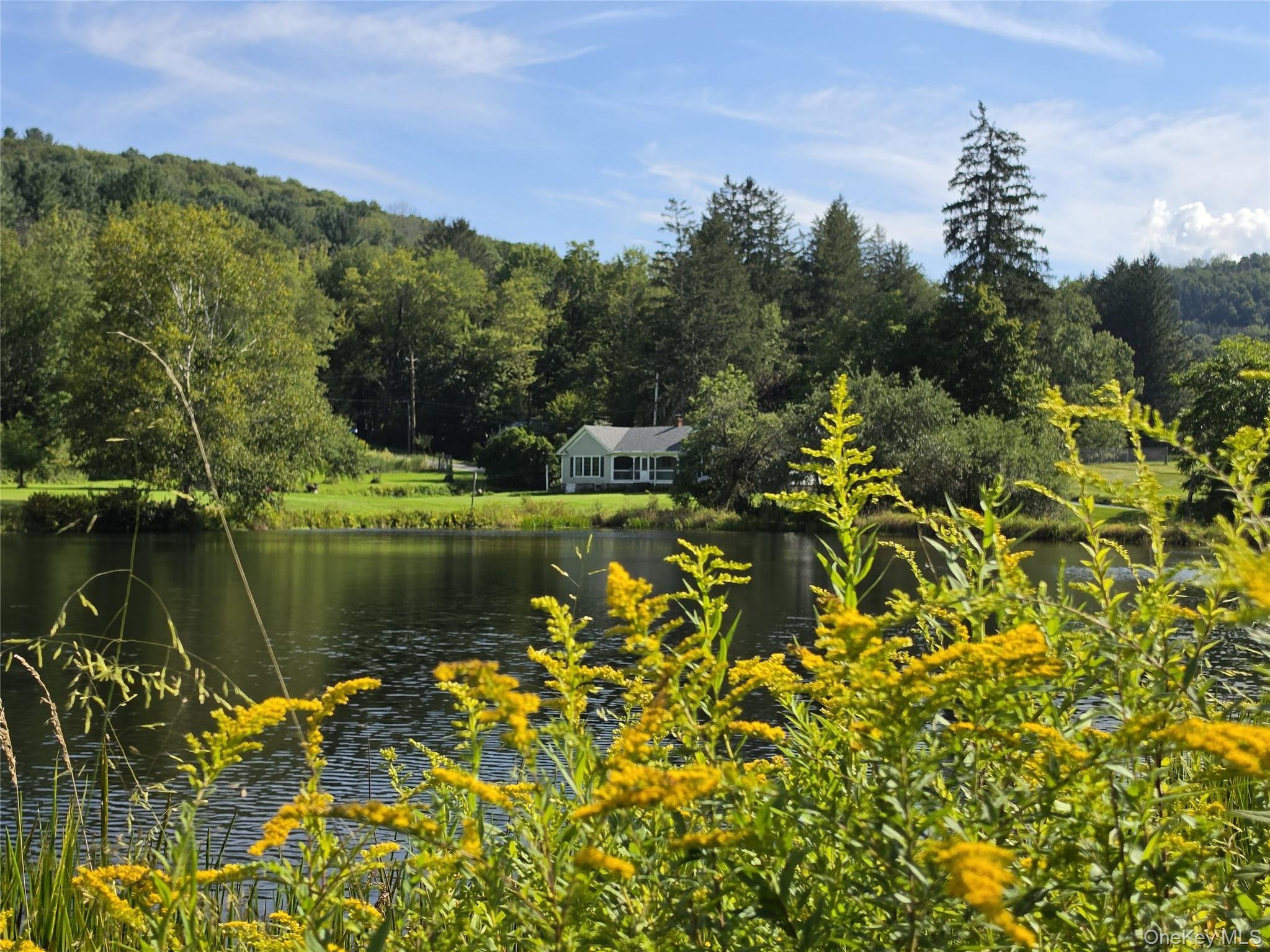 Single Family Jeffersonville North Branch Road  Sullivan County, NY 12766, MLS-1044052-2
