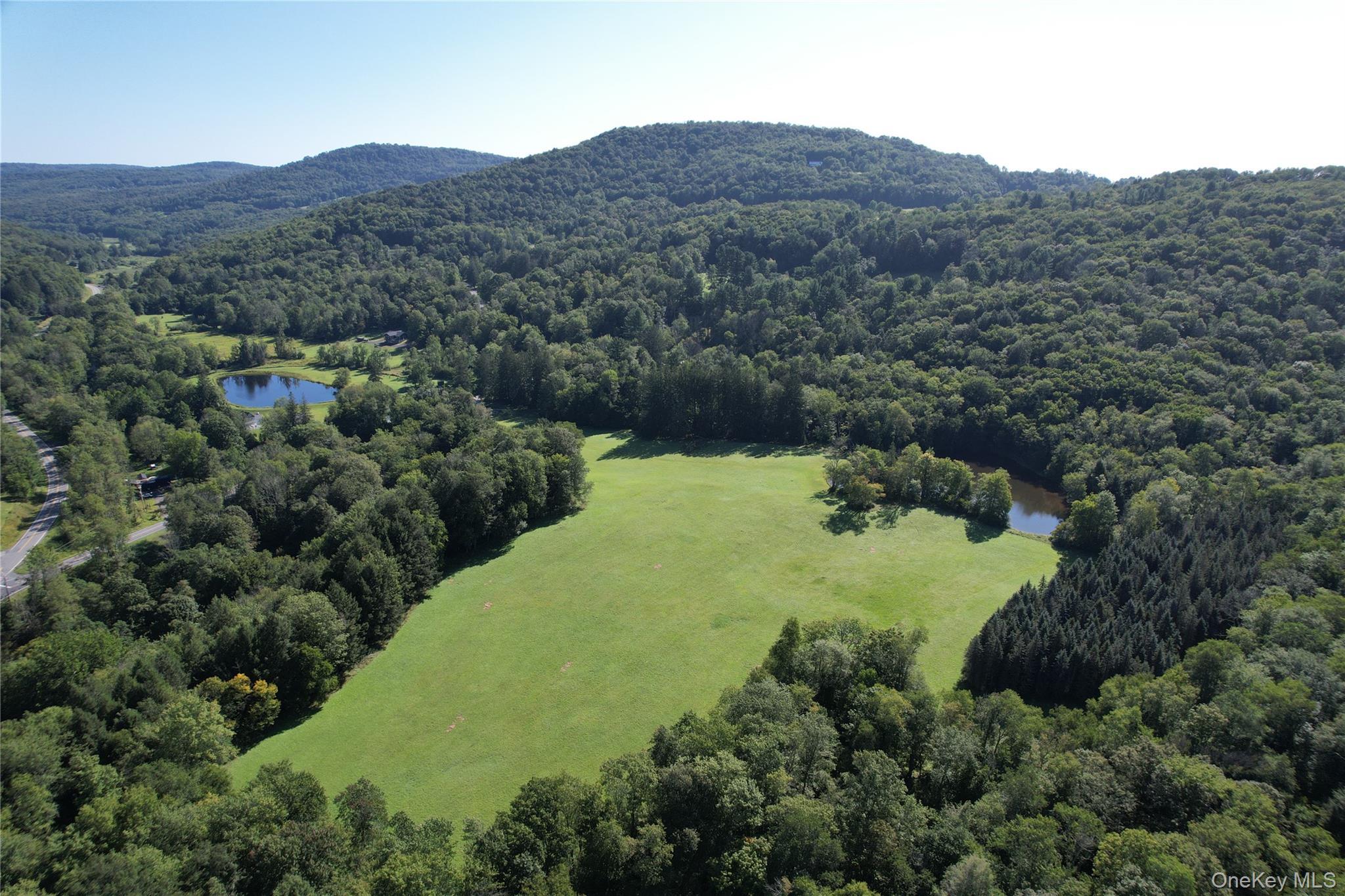 Single Family Jeffersonville North Branch Road  Sullivan County, NY 12766, MLS-1044052-42
