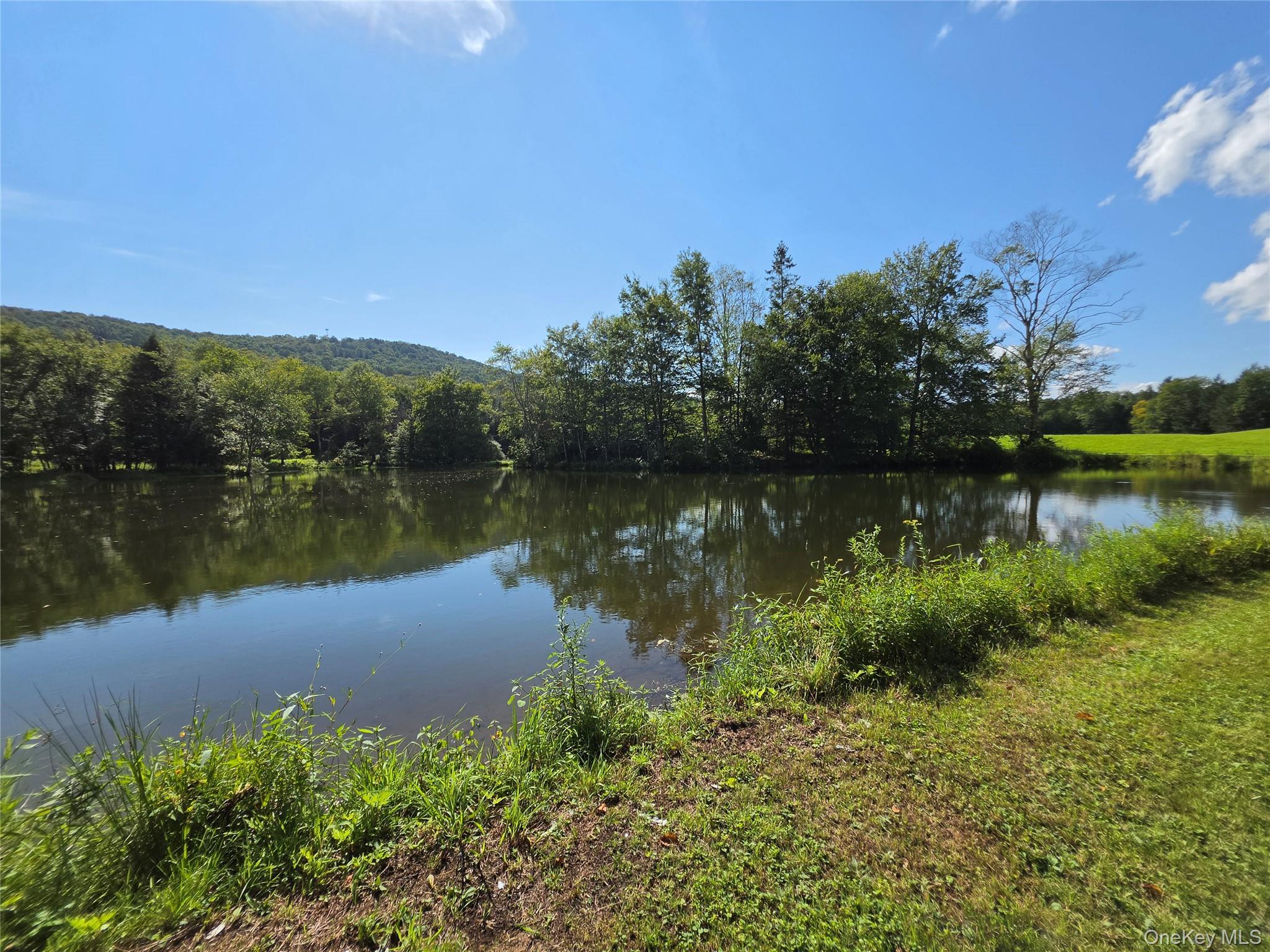 Single Family Jeffersonville North Branch Road  Sullivan County, NY 12766, MLS-1044052-48