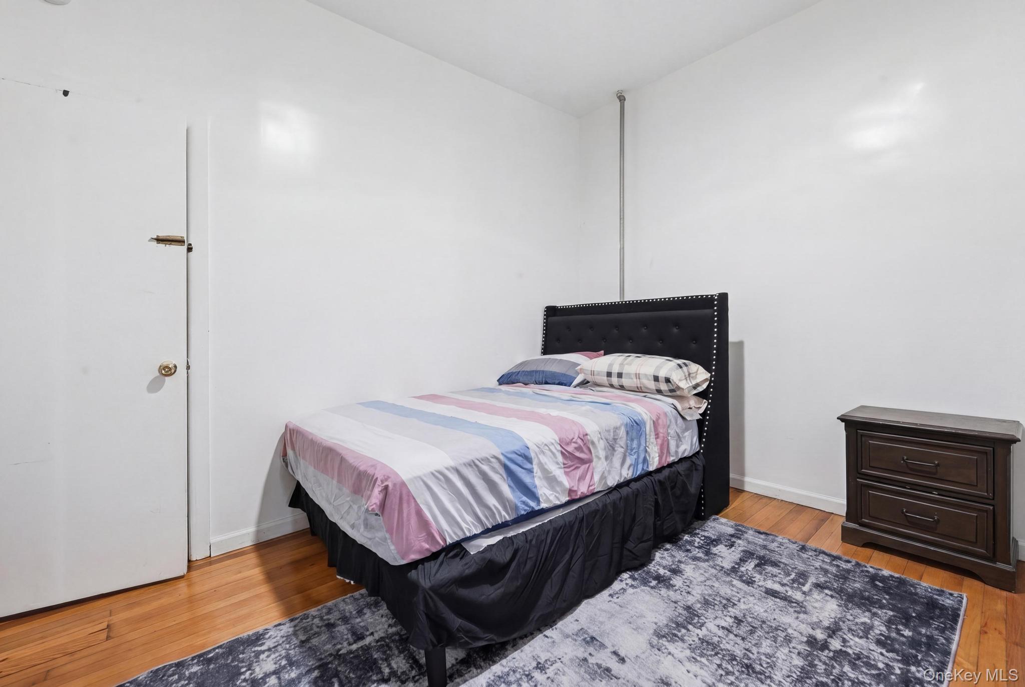 Single Family Blake Avenue Brooklyn, NY 11208, MLS-1044086-10