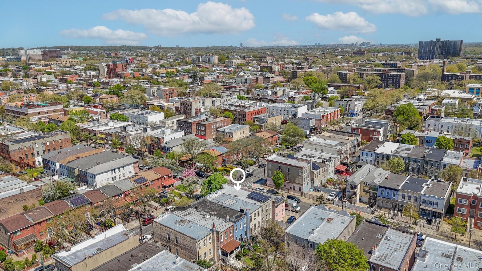 Single Family Blake Avenue Brooklyn, NY 11208, MLS-1044086-24