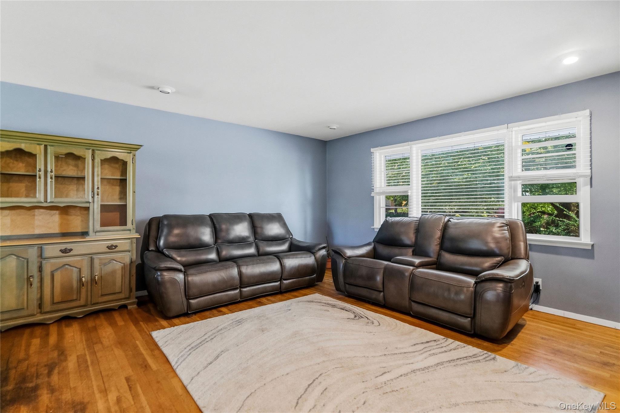 Single Family Ivanhoe Drive Nassau County, NY 11566, MLS-1044116-11