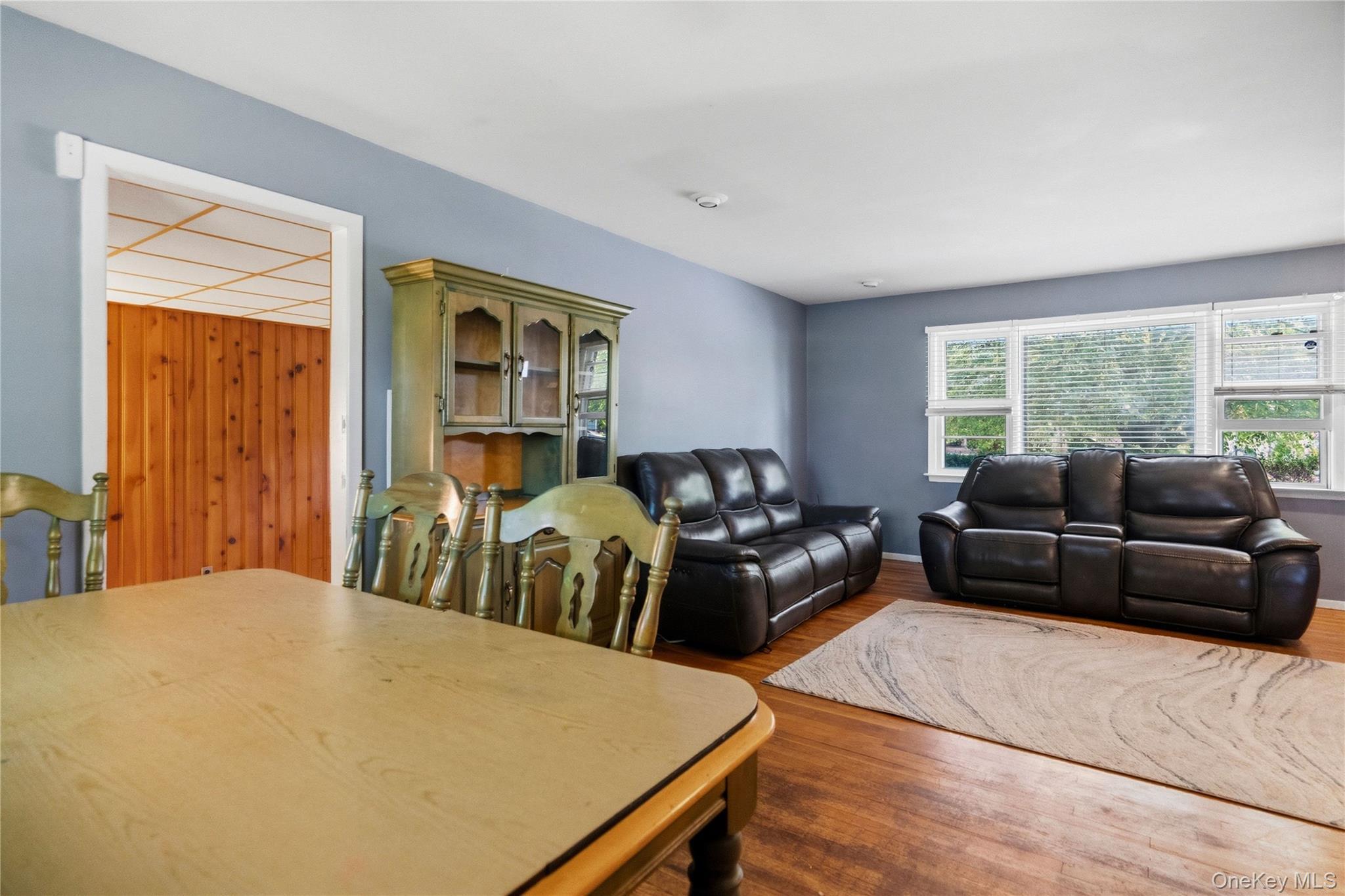 Single Family Ivanhoe Drive Nassau County, NY 11566, MLS-1044116-12