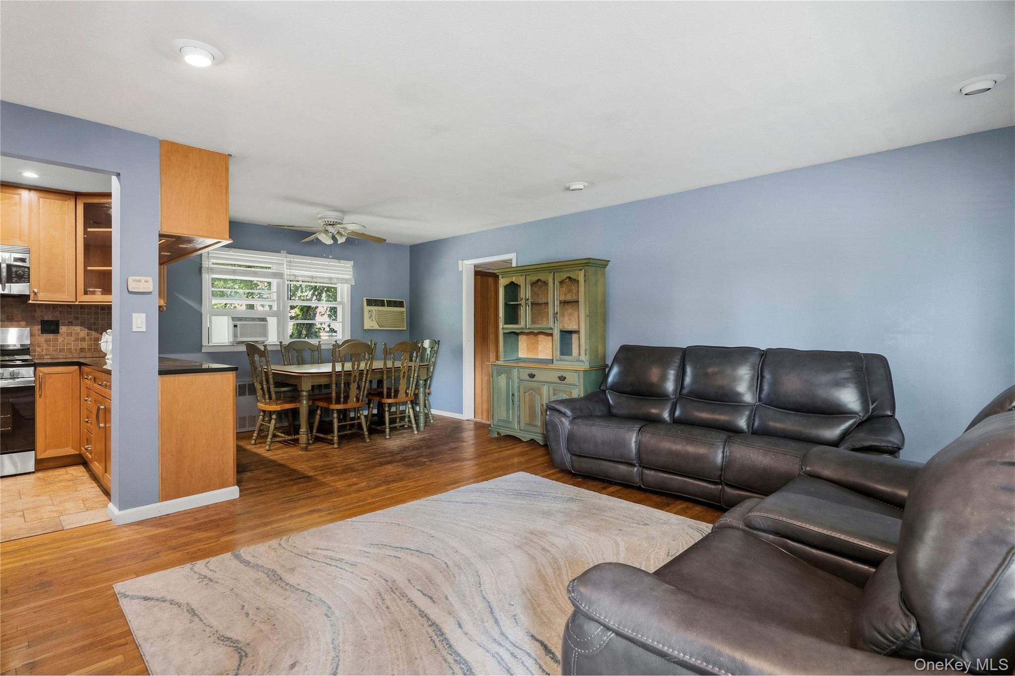 Single Family Ivanhoe Drive Nassau County, NY 11566, MLS-1044116-4