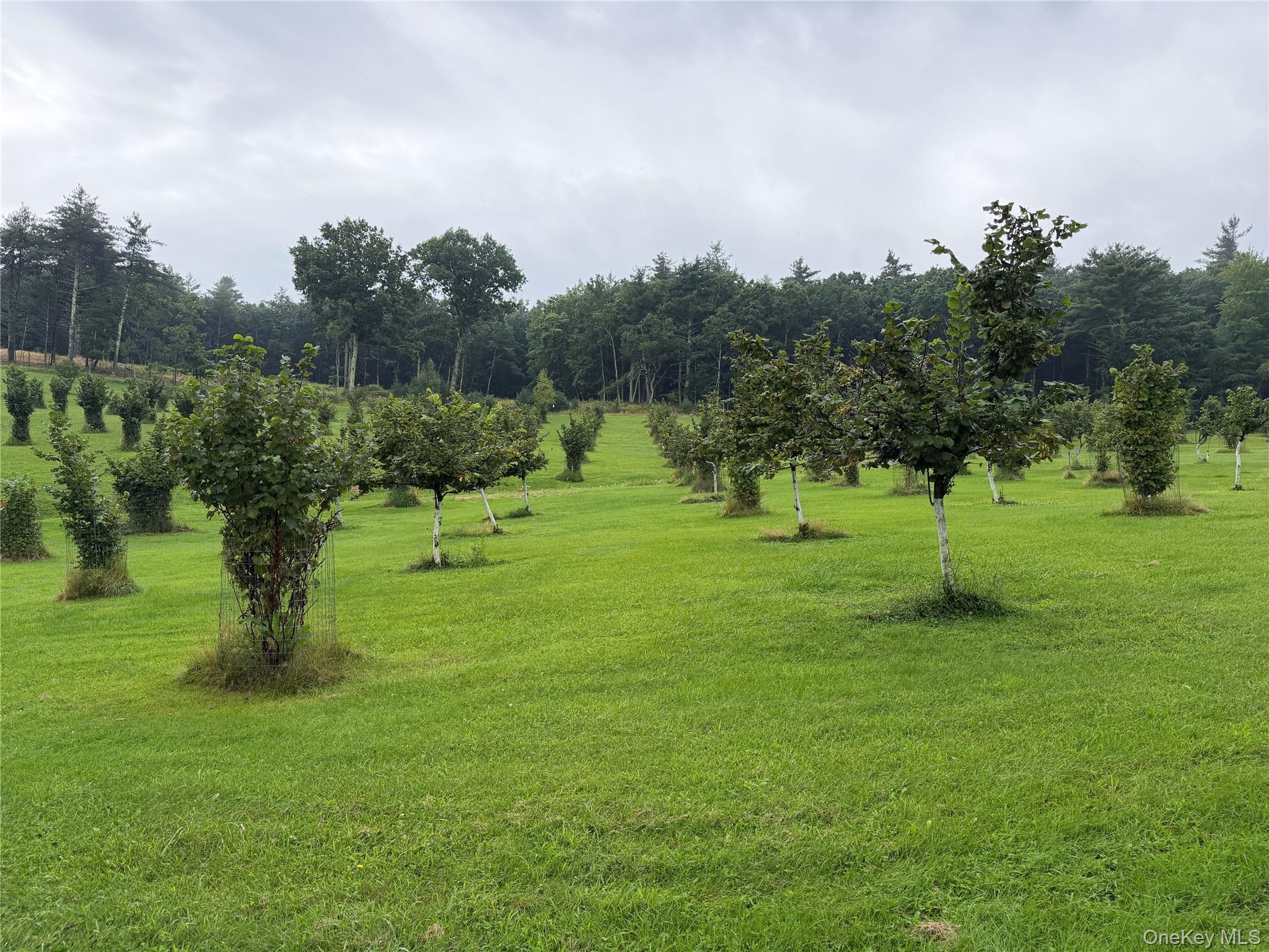 Single Family Prospect Hill Road Orange County, NY 12729, MLS-1044137-47