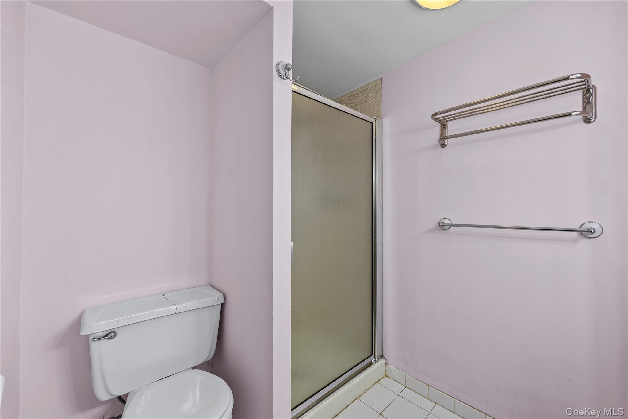 Single Family 53rd Avenue Queens, NY 11364, MLS-1044185-22