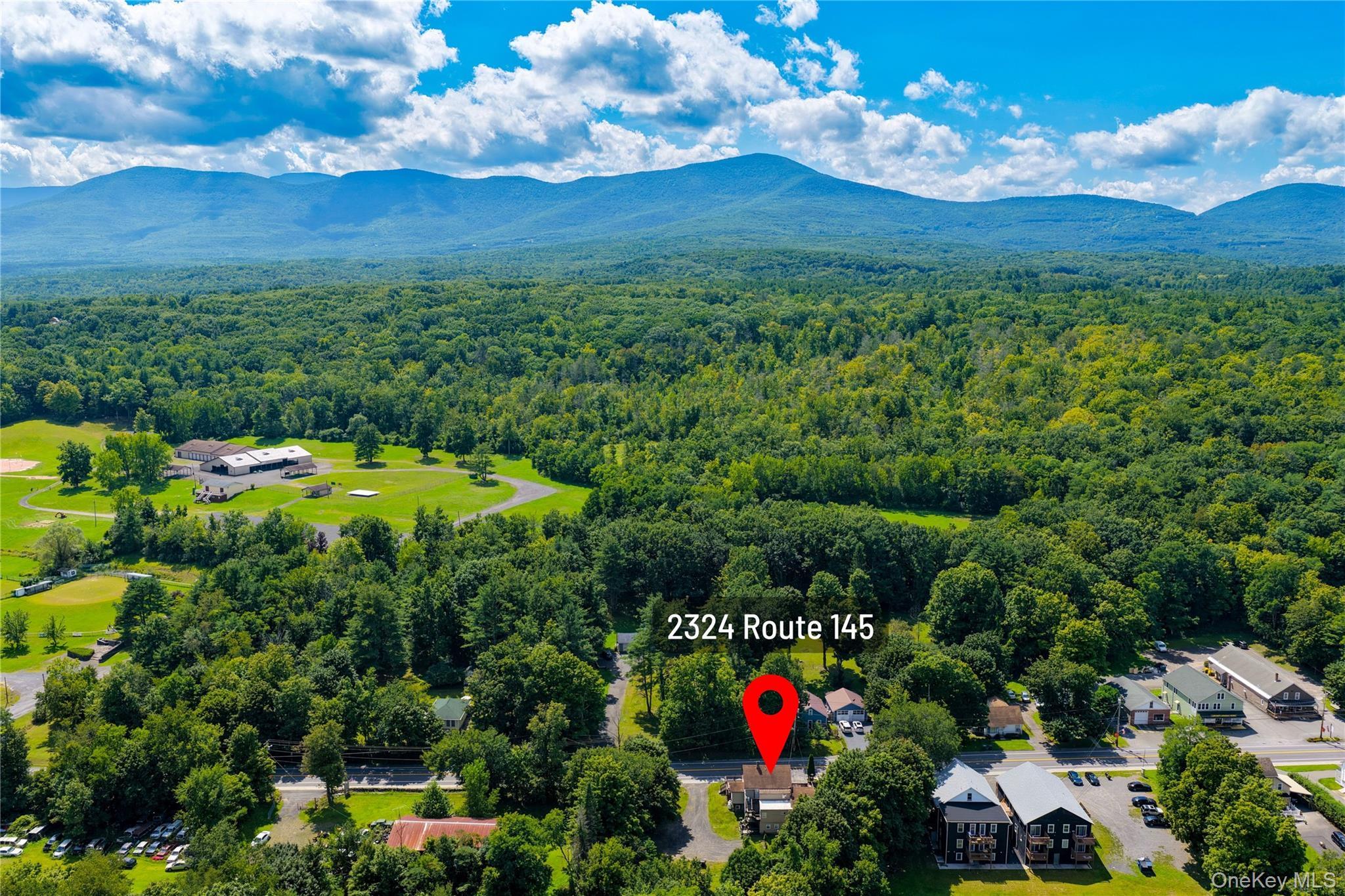 Single Family Route 145  Greene County, NY 12423, MLS-1044223-19