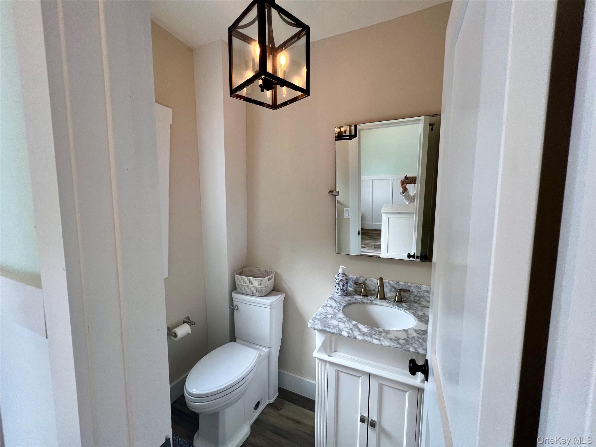 Single Family Wyona Court  Suffolk County, NY 11743, MLS-1044269-25