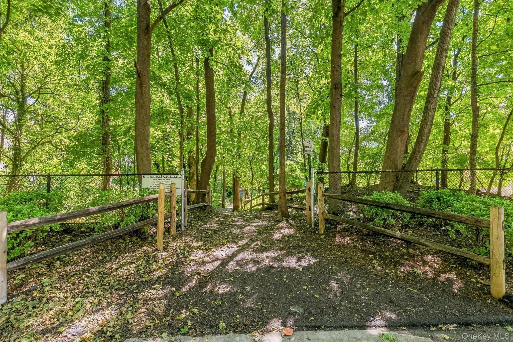 Single Family Bolton Avenue Westchester County, NY 10605, MLS-1044294-37