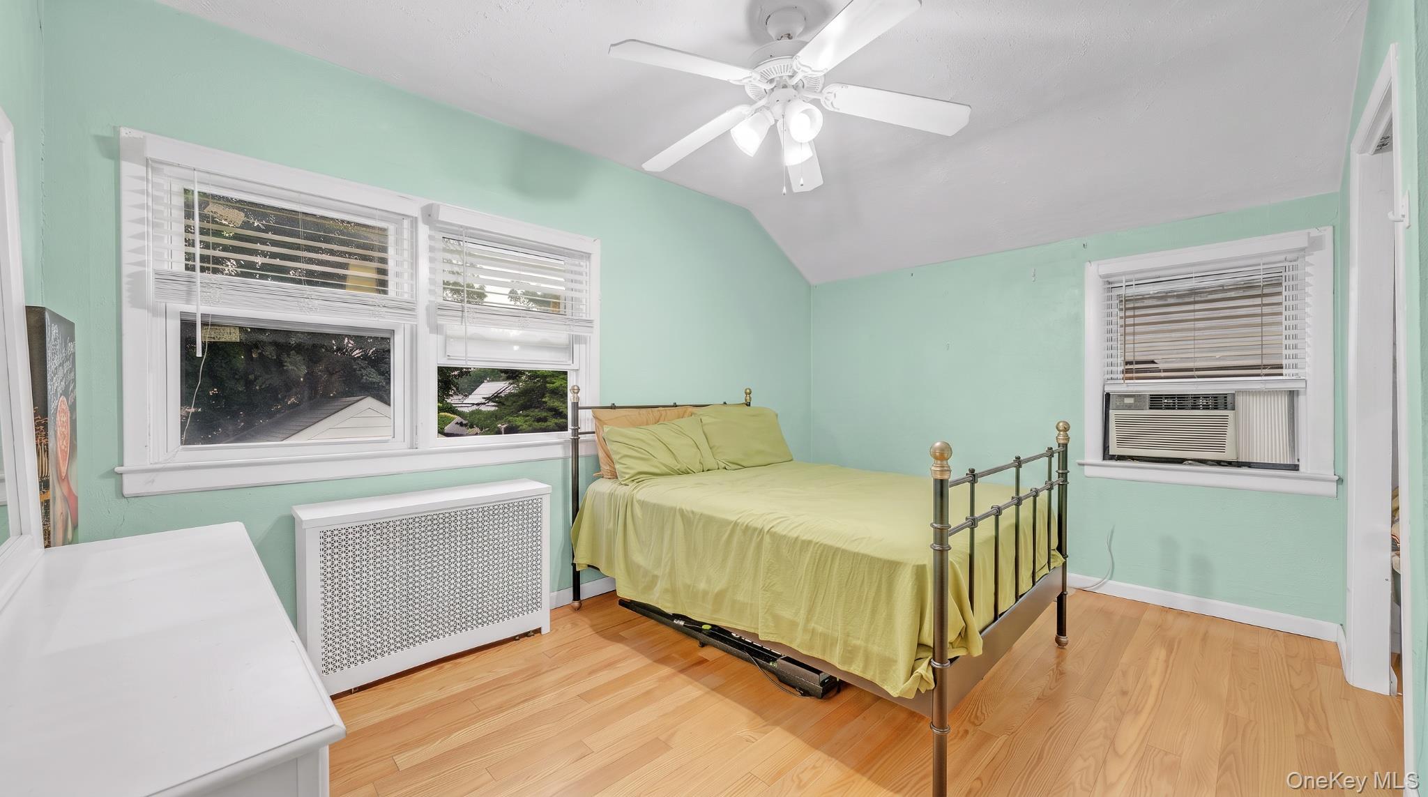 Single Family Woolworth Street Nassau County, NY 11003, MLS-1044392-16