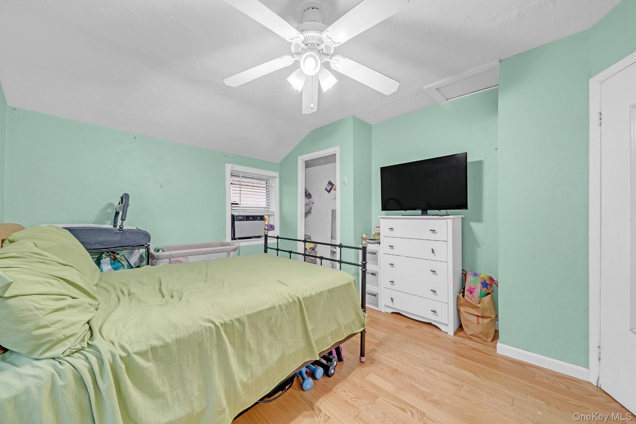 Single Family Woolworth Street Nassau County, NY 11003, MLS-1044392-17