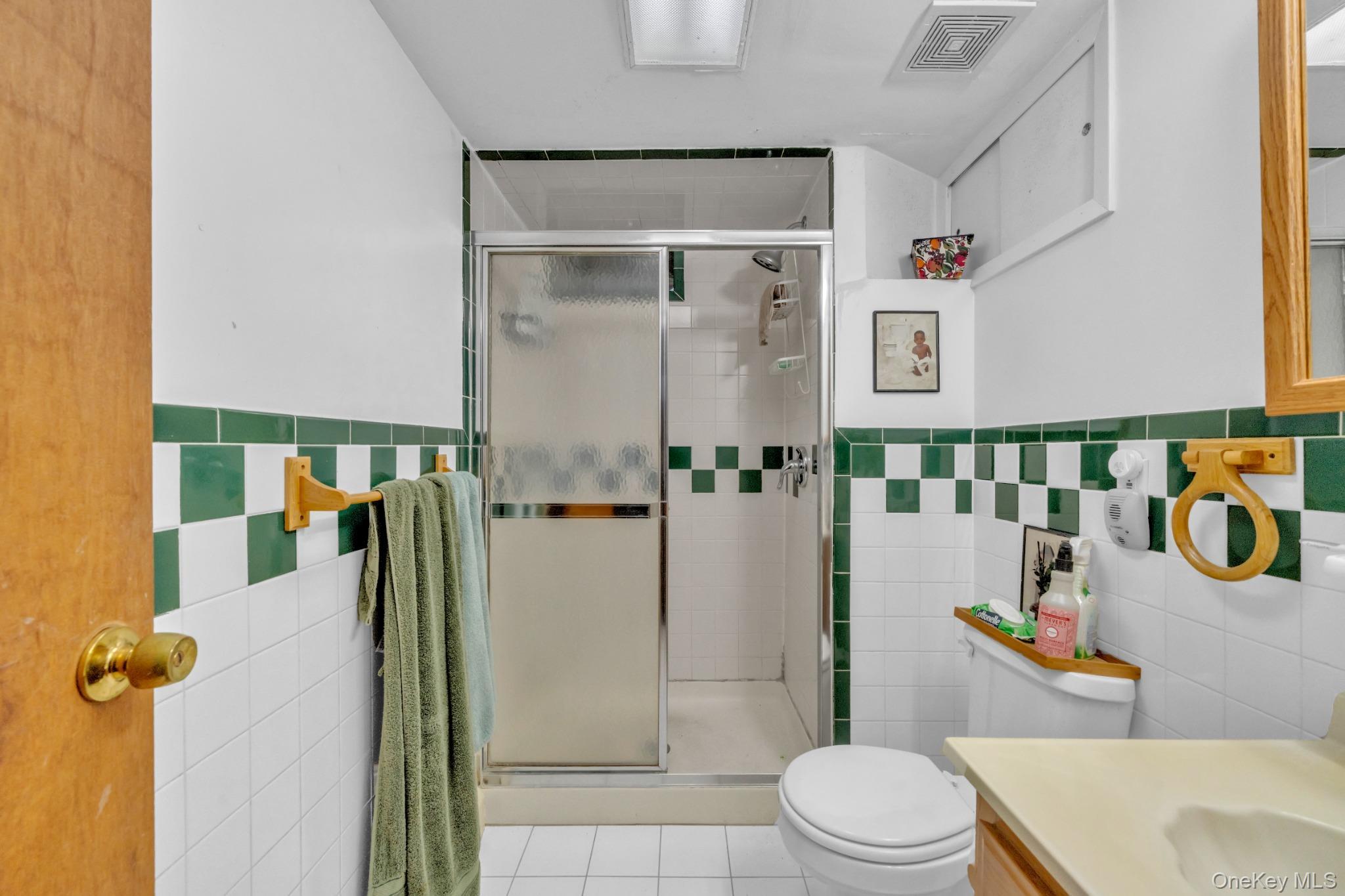 Single Family Woolworth Street Nassau County, NY 11003, MLS-1044392-21