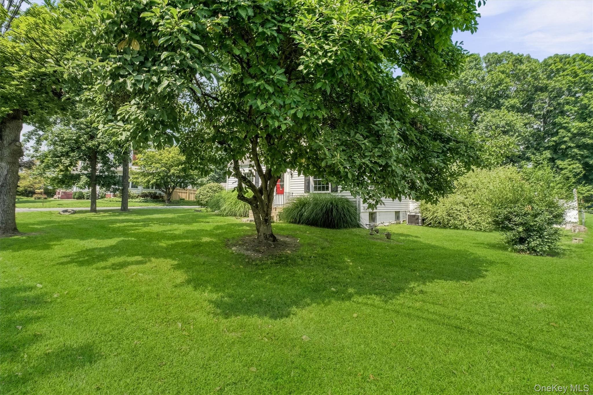 Single Family E Cedar Street  Dutchess County, NY 12601, MLS-1044405-4