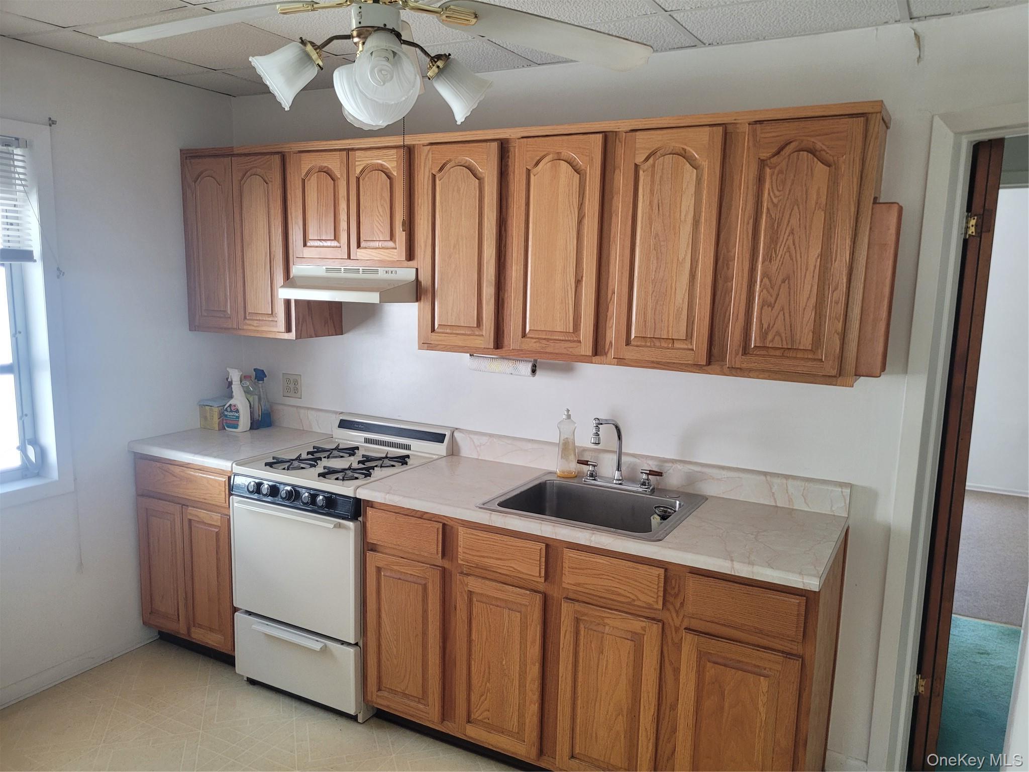 Single Family E 15th Street Brooklyn, NY 11229, MLS-1044414-8
