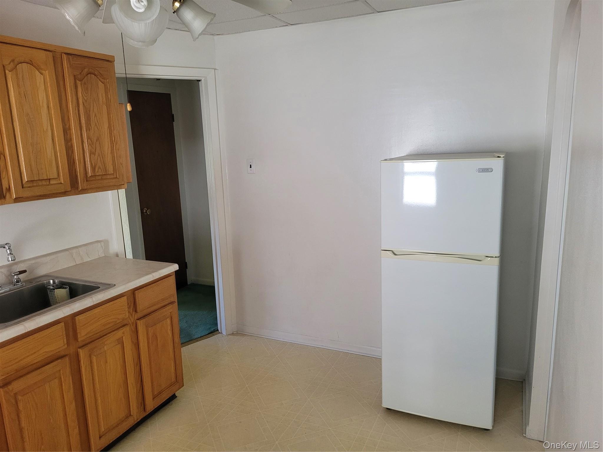Single Family E 15th Street Brooklyn, NY 11229, MLS-1044414-9