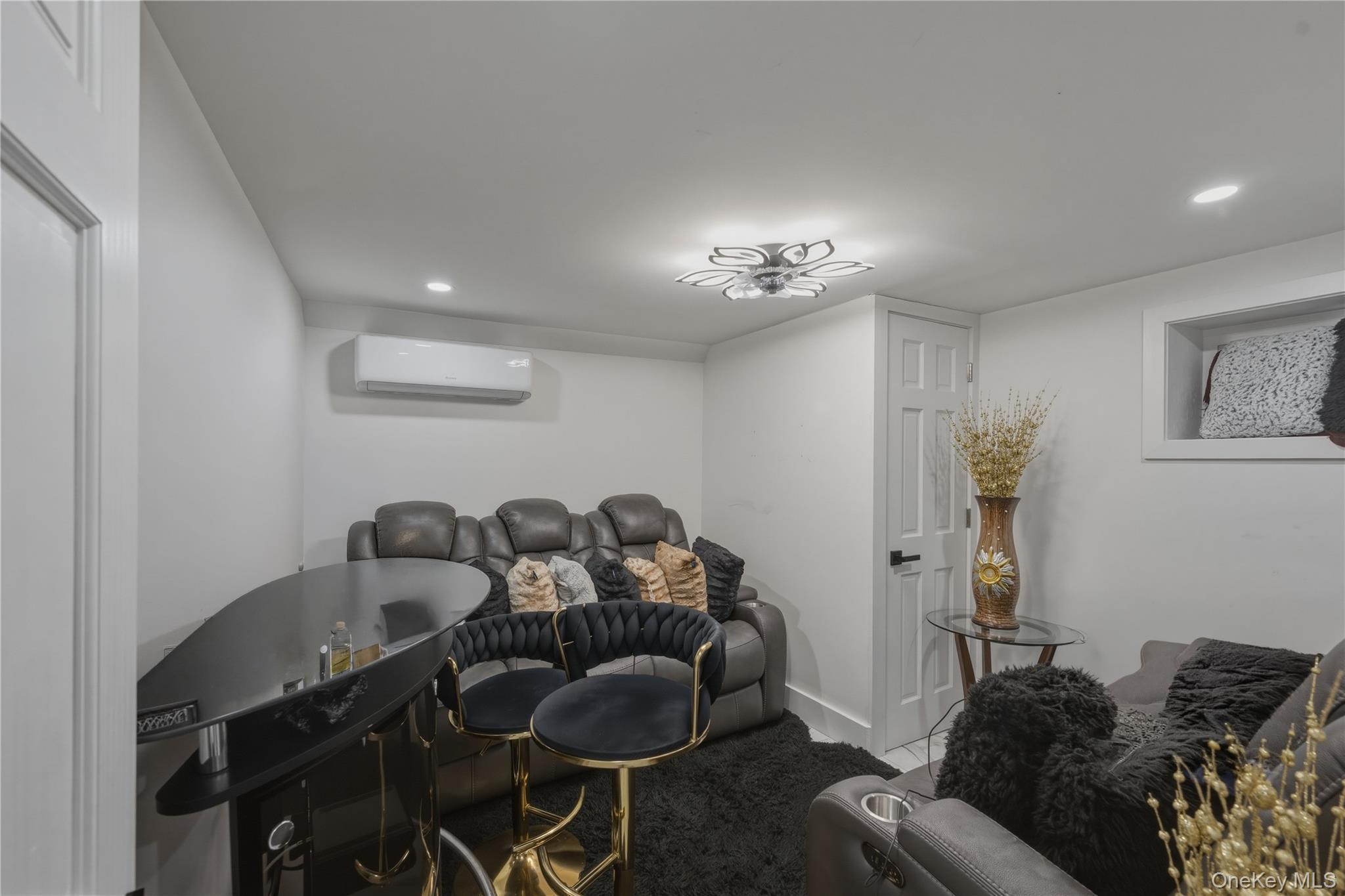 Single Family Brooklyn Avenue Brooklyn, NY 11203, MLS-1044442-13