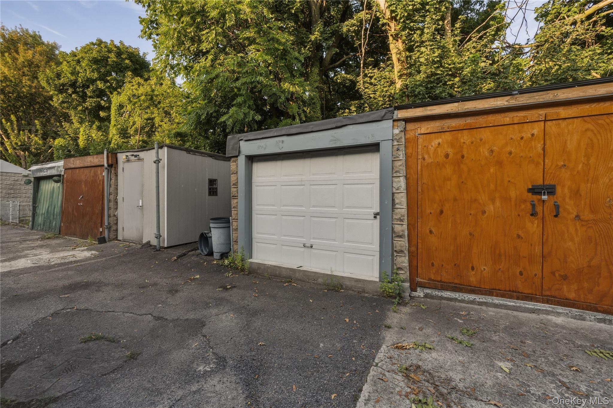 Single Family Brooklyn Avenue Brooklyn, NY 11203, MLS-1044442-17