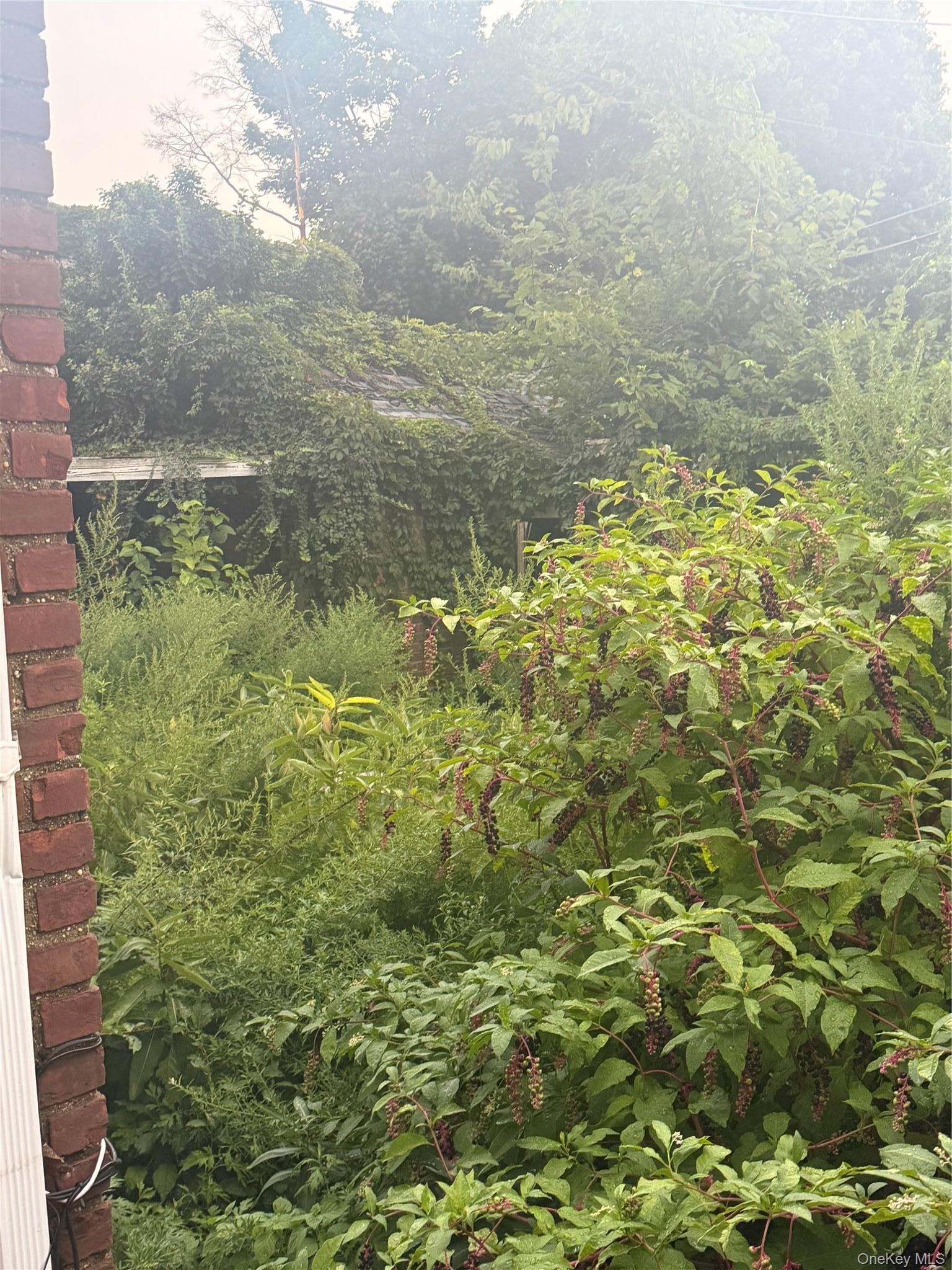 Single Family 227th Street Queens, NY 11411, MLS-1044446-18