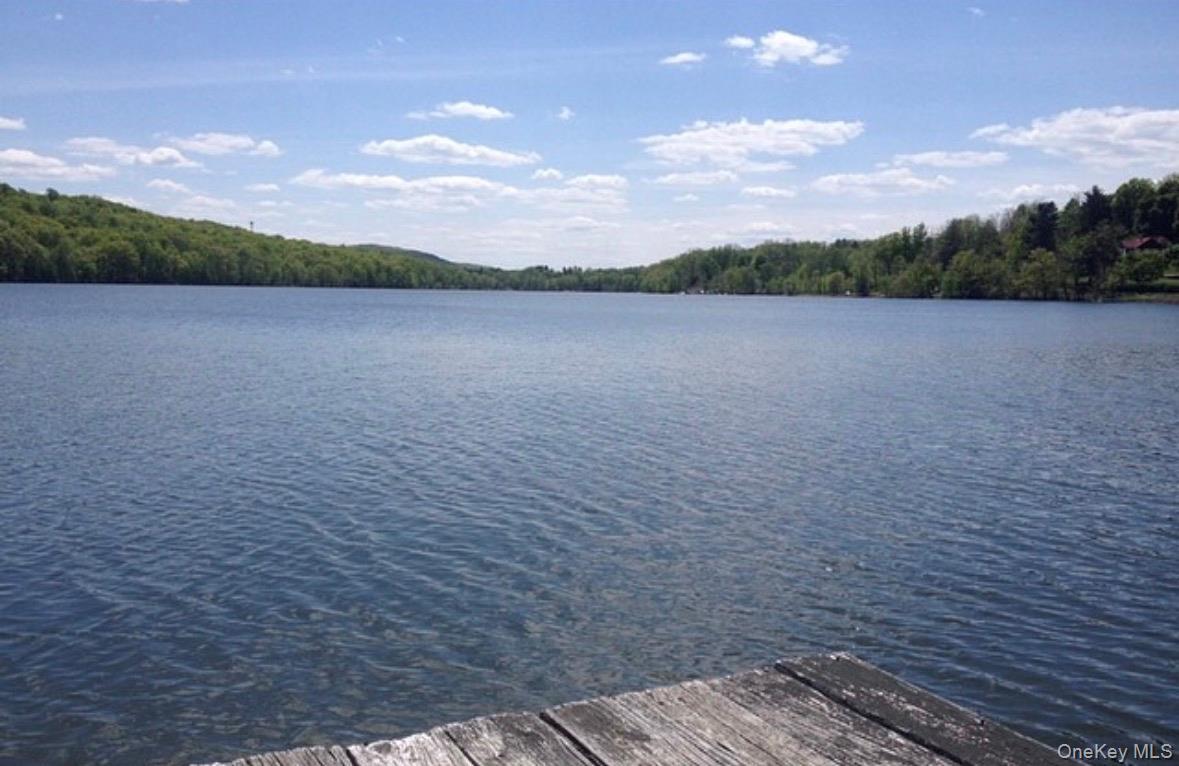 Single Family Midway Drive  Orange County, NY 10950, MLS-1044454-27